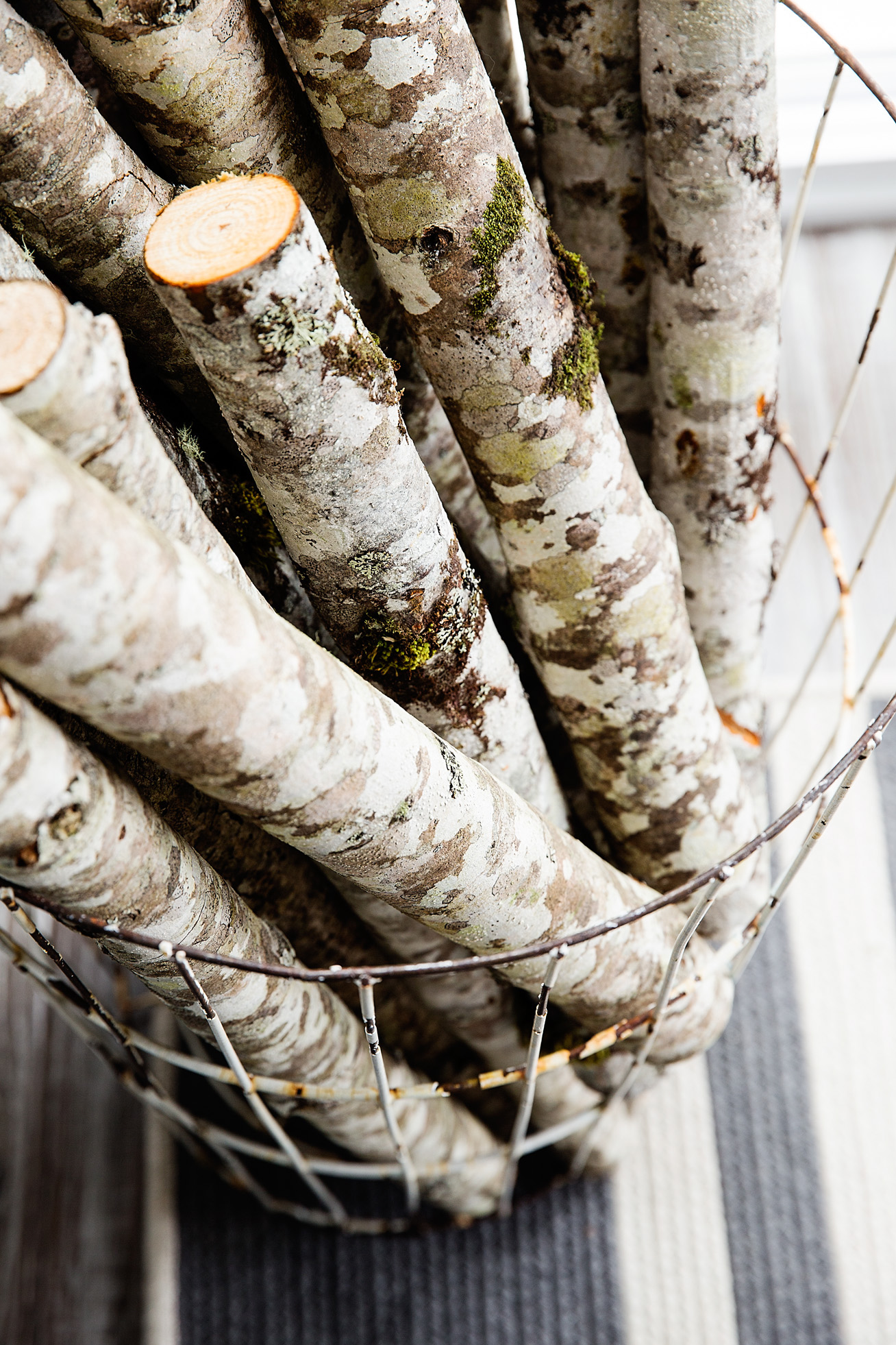 steal-colors-from-nature