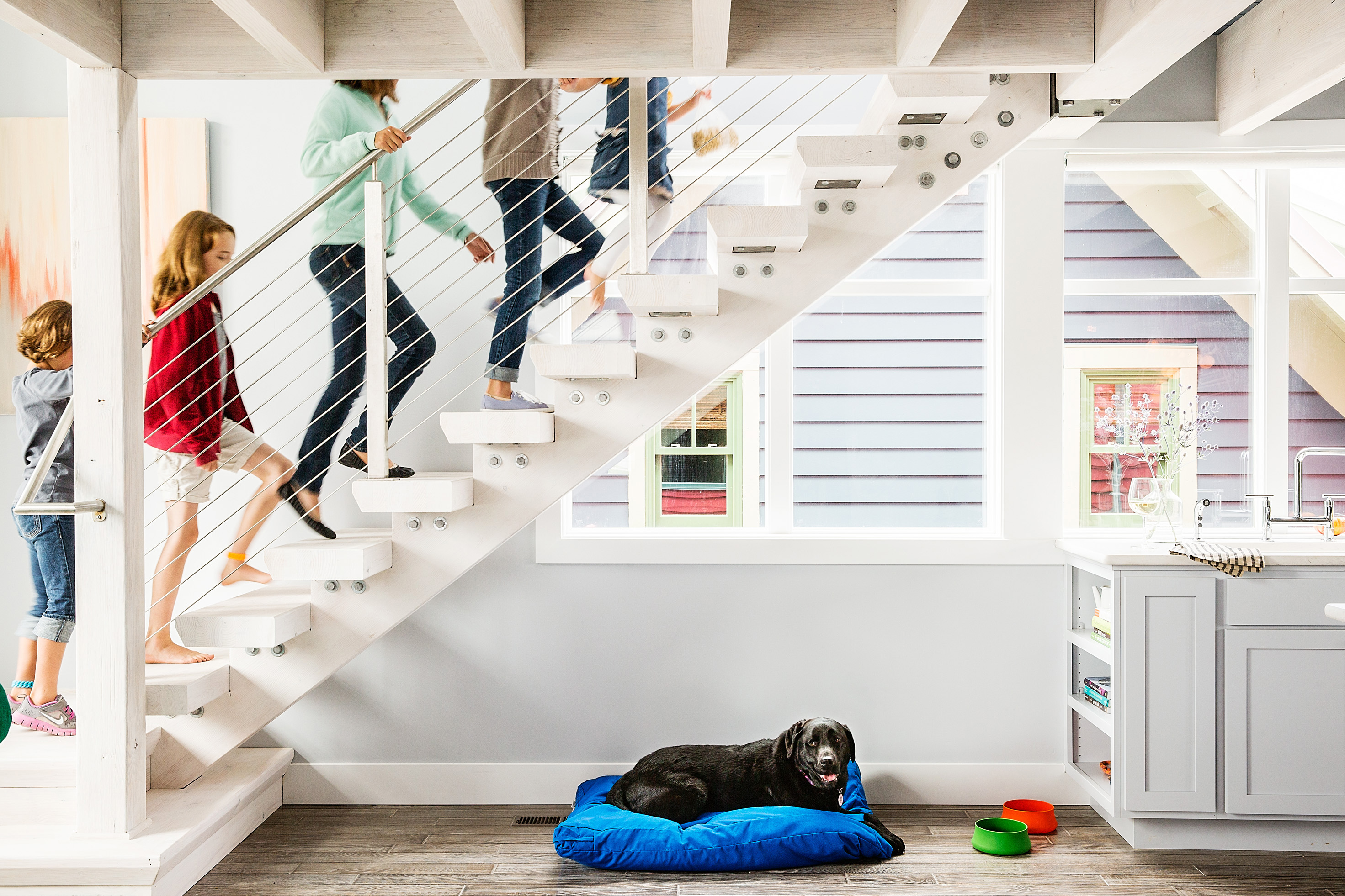 give-the-pooch-a-pouf