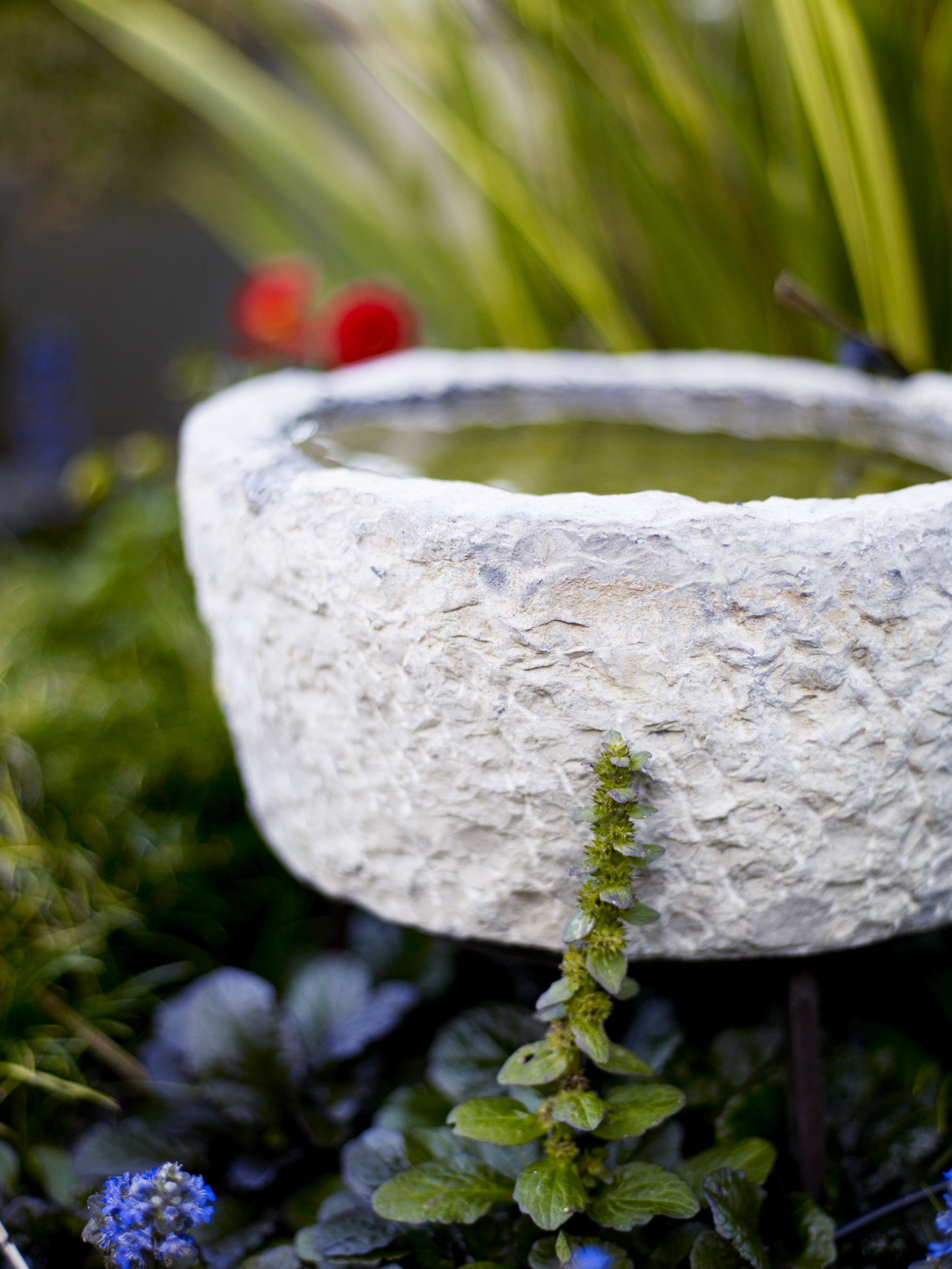 how-to-maximize-a-small-garden