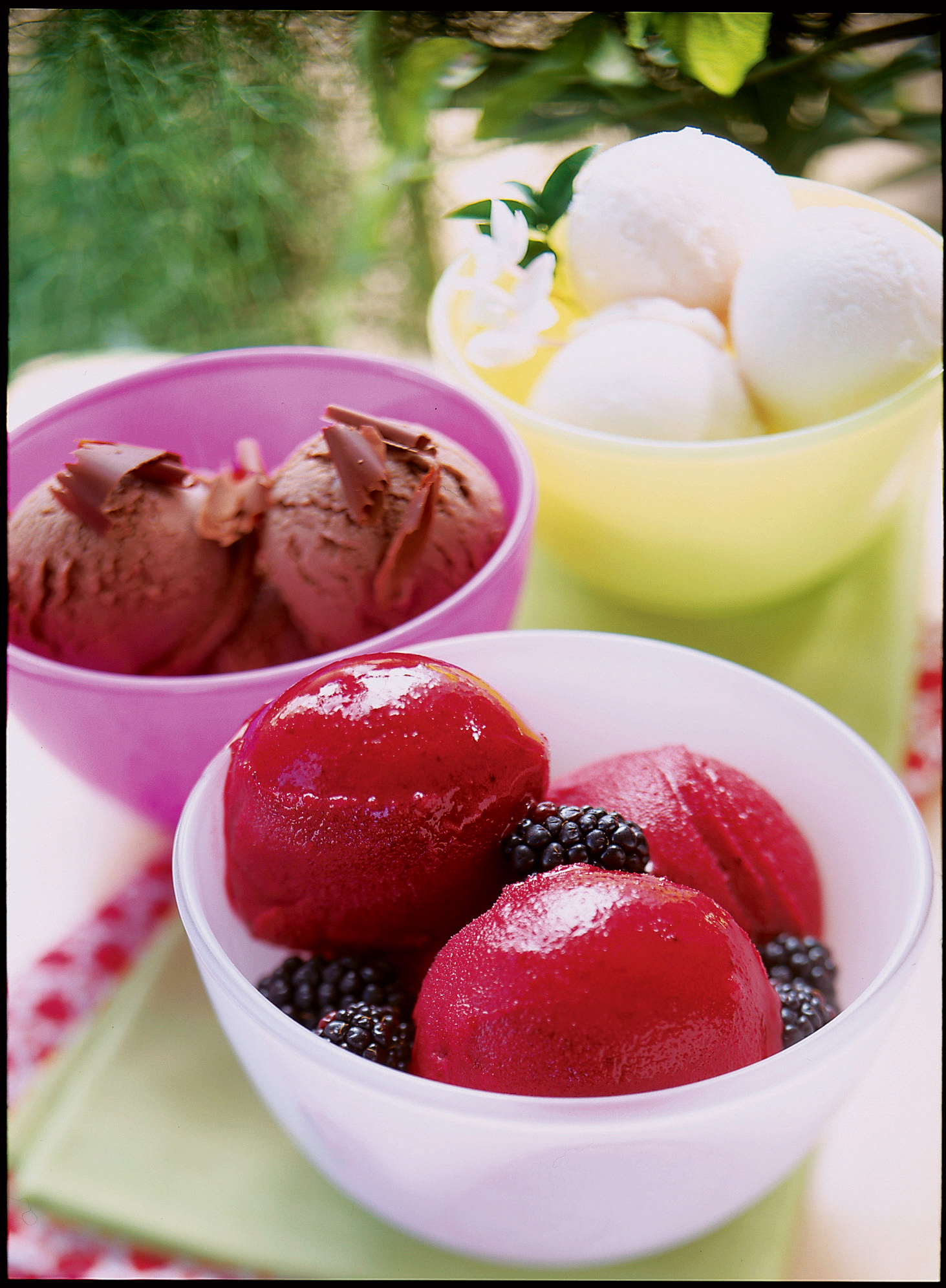 blackberry-black-tea-sorbet