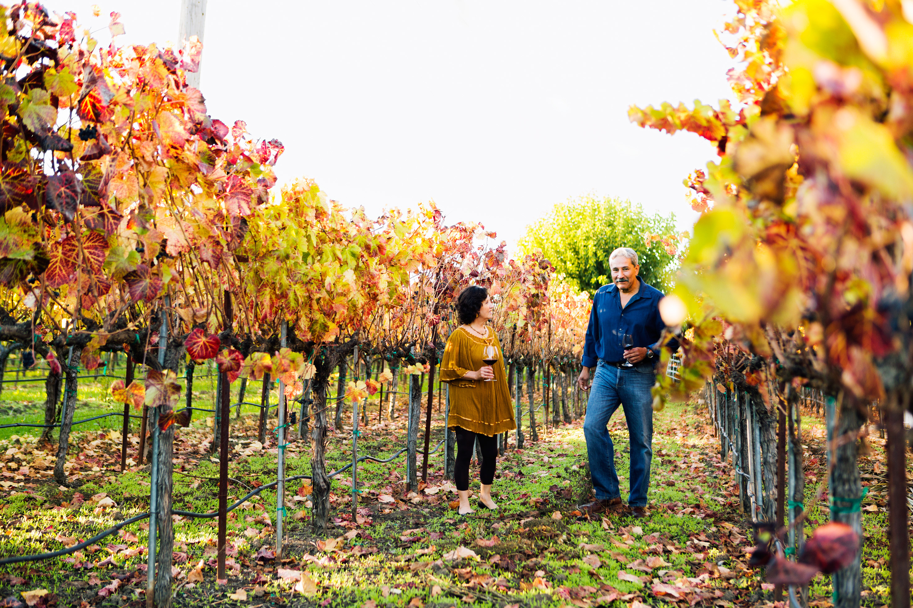 Mexican Vineyard Feast
