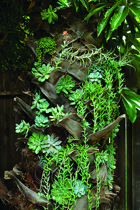 more-ideas-plant-cuttings-as-decor