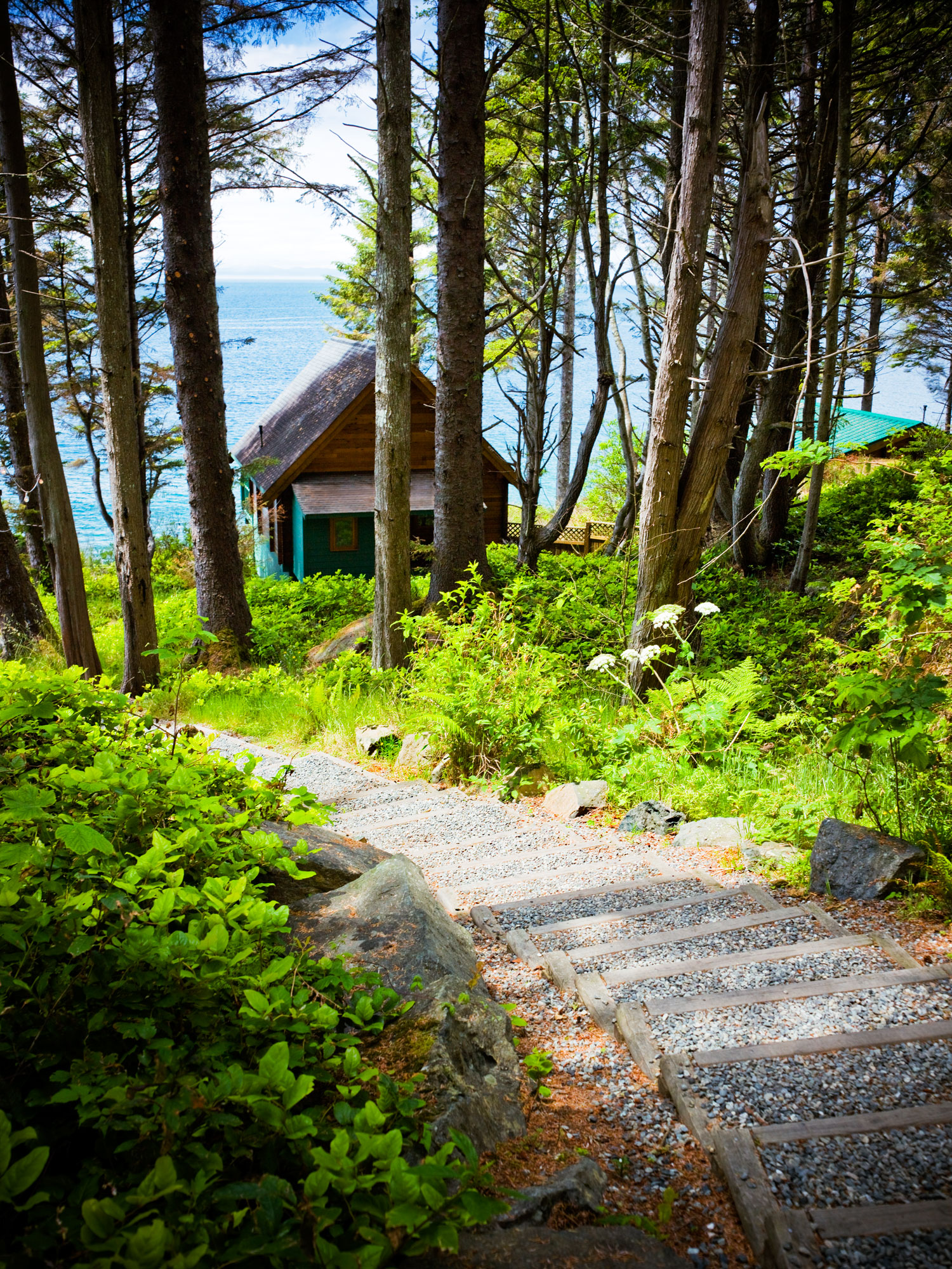 vancouver-island-b-c