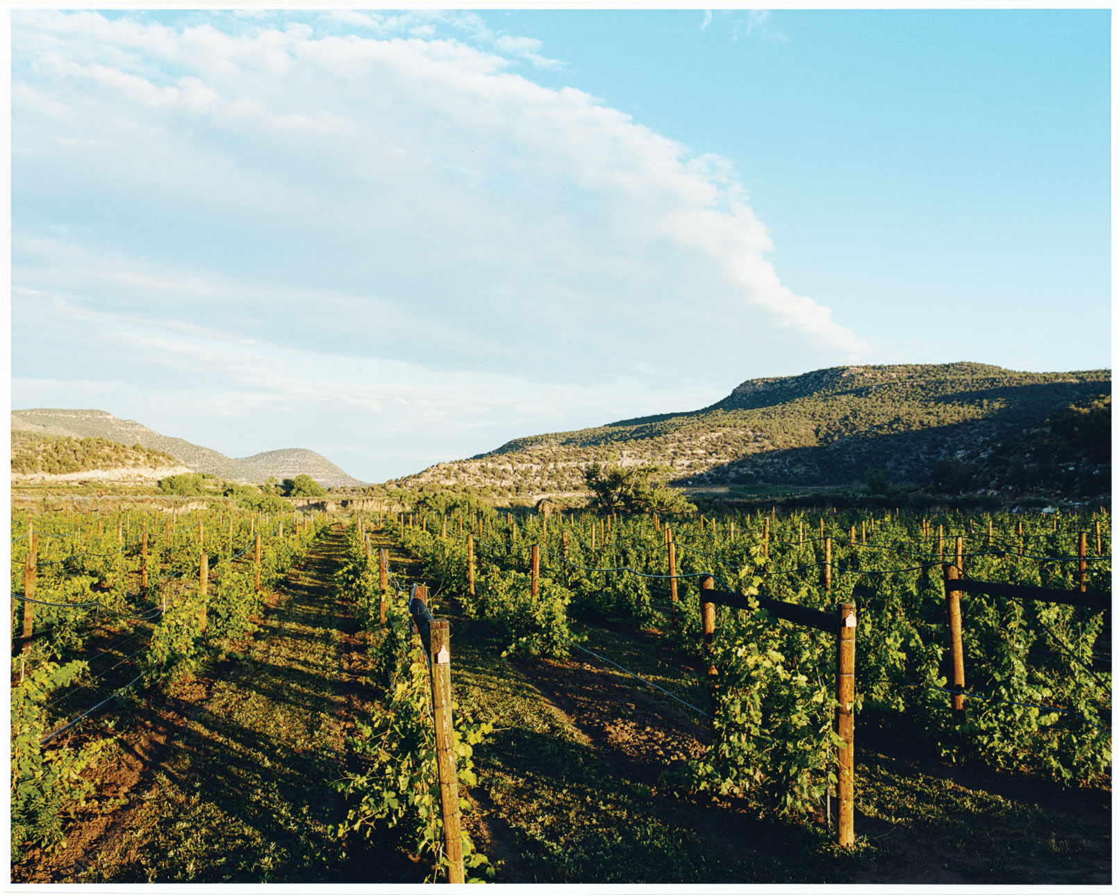 colorado-wine-country