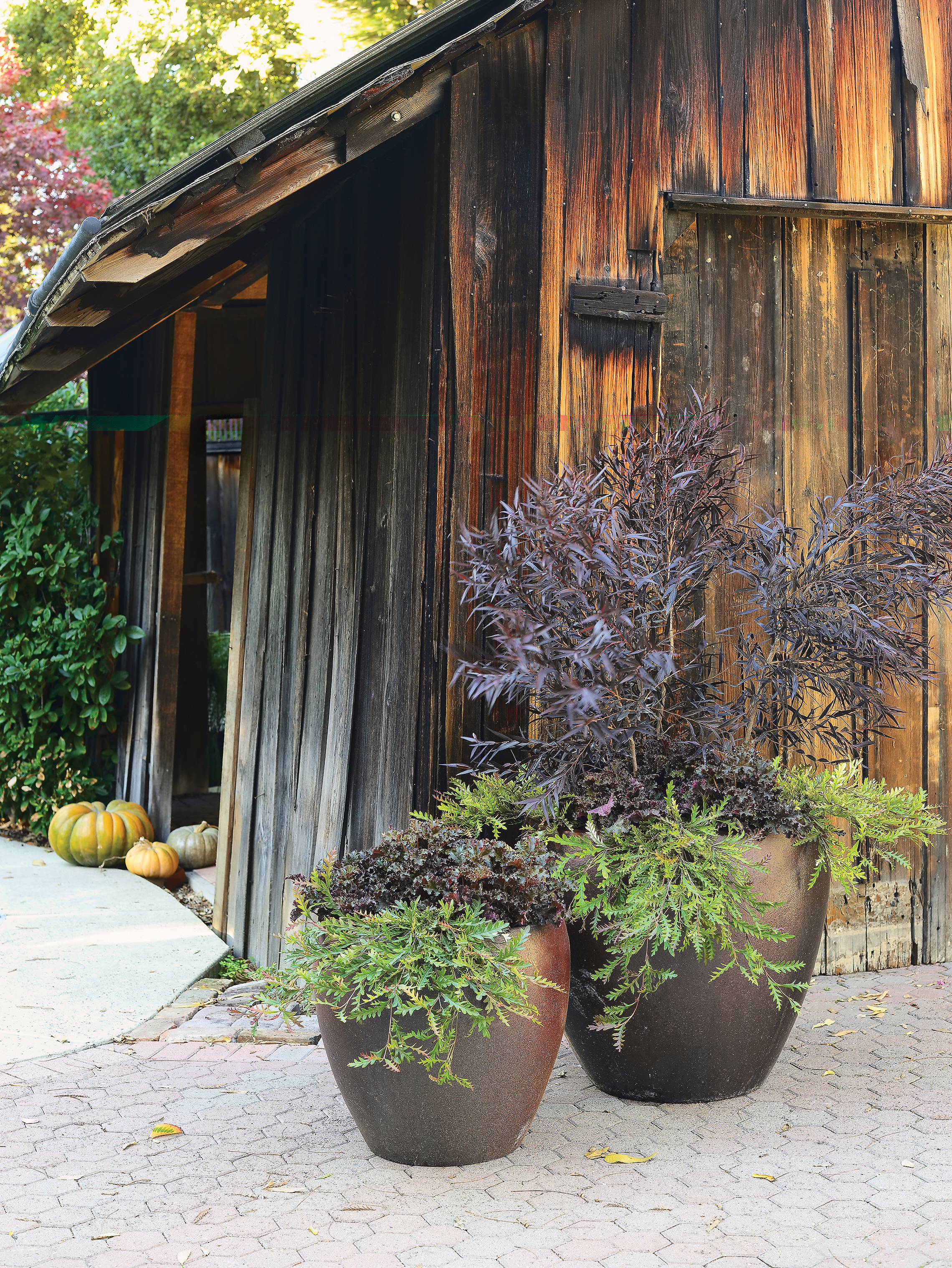 chocolate-with-a-twist-of-lime