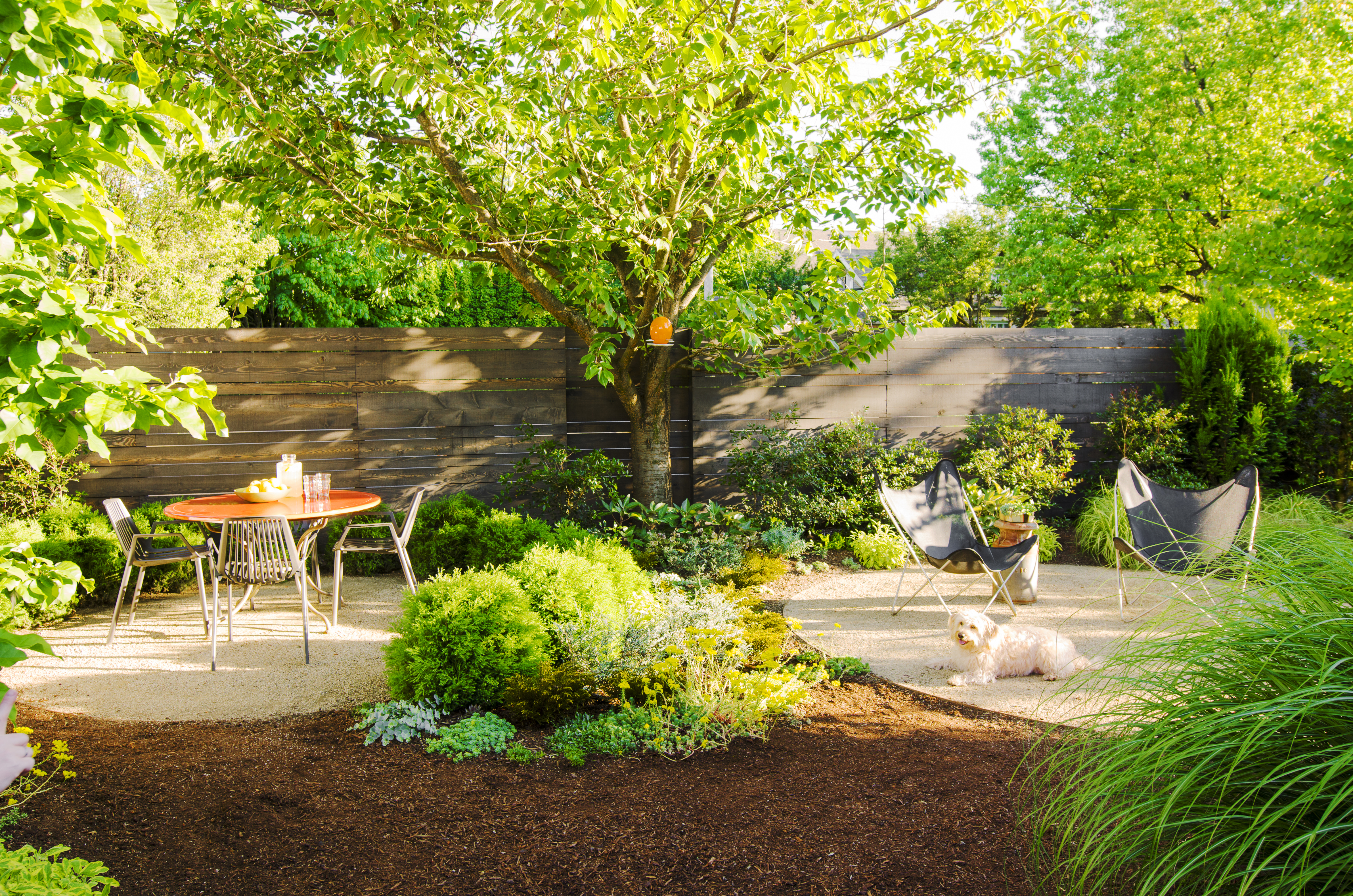 How to Create a Dog-Friendly Garden