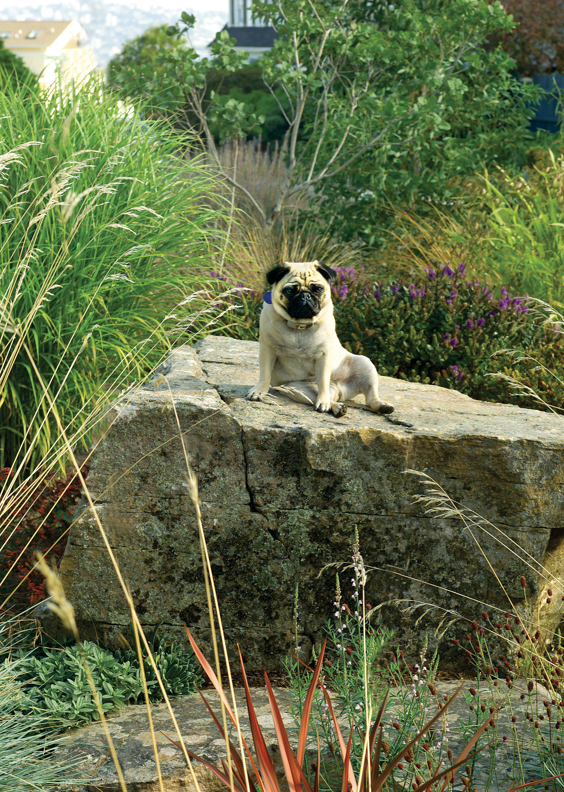 rig-a-lookout-platform