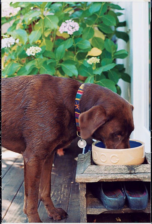 create-a-dining-area