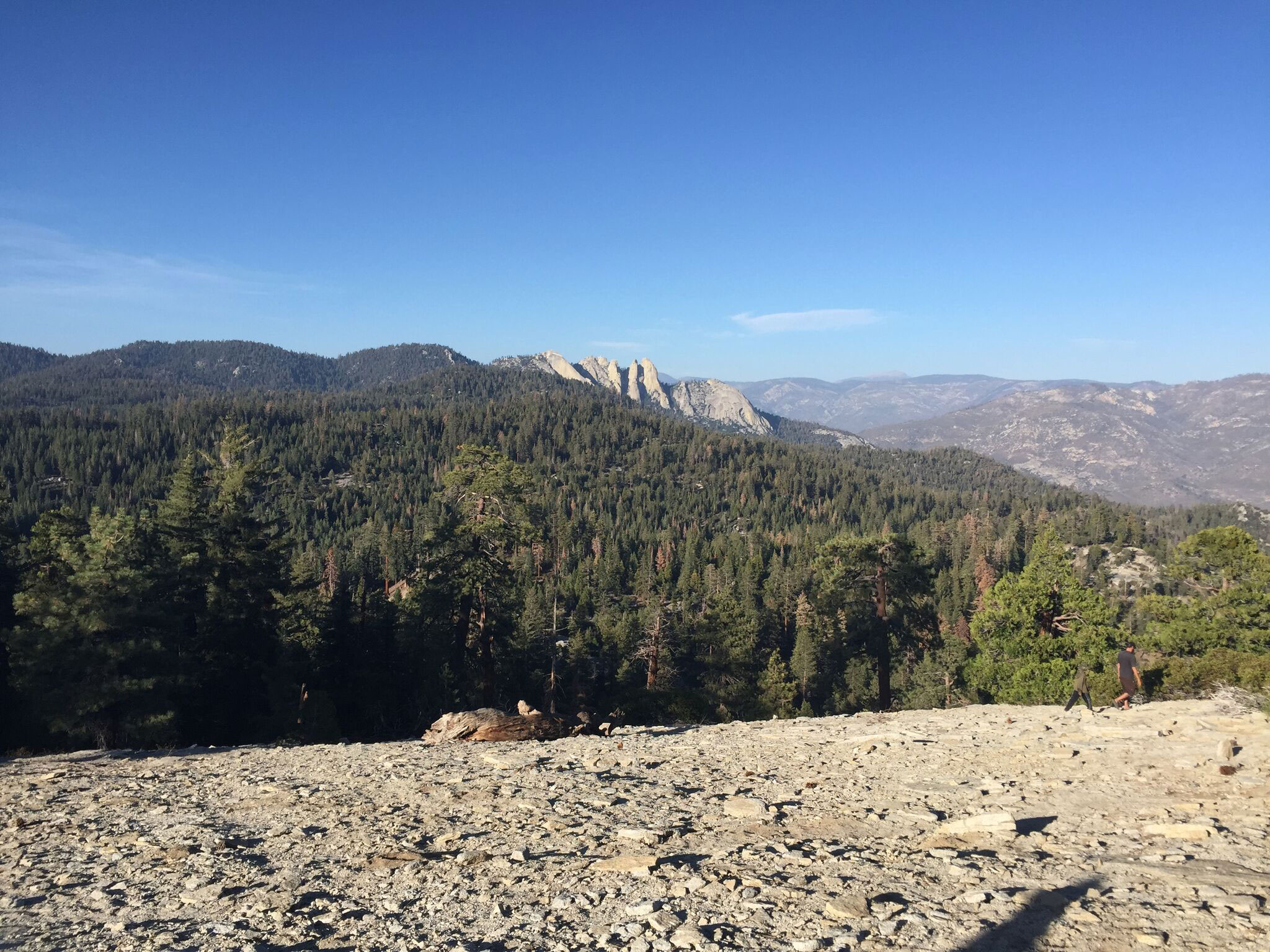 sequoia-dome-rock
