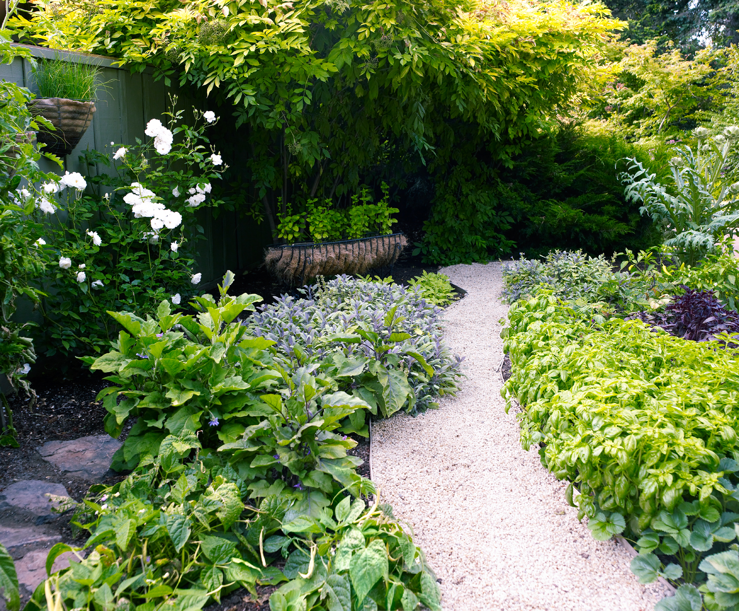 edible-garden-path