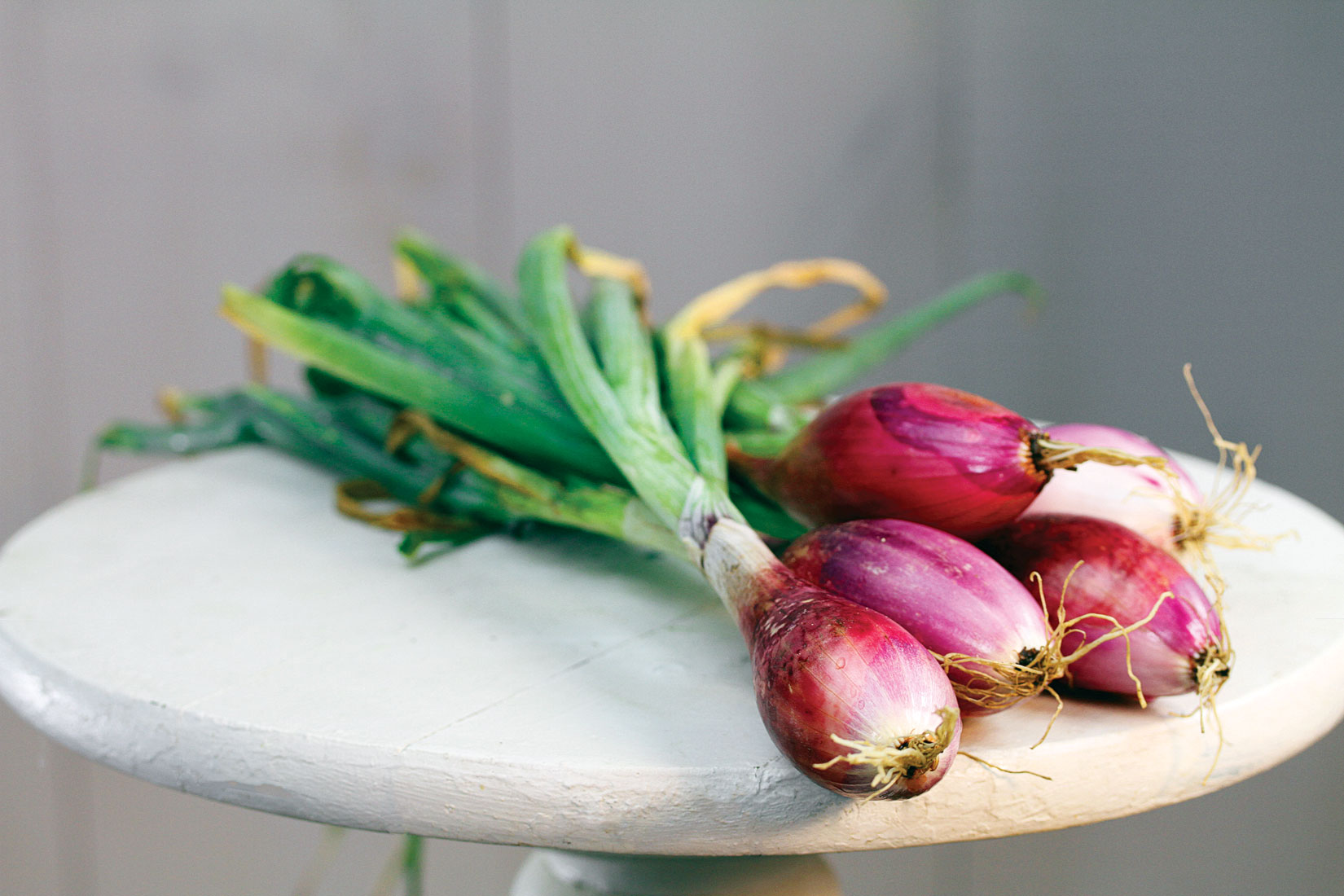 the-veggie-mother-lode