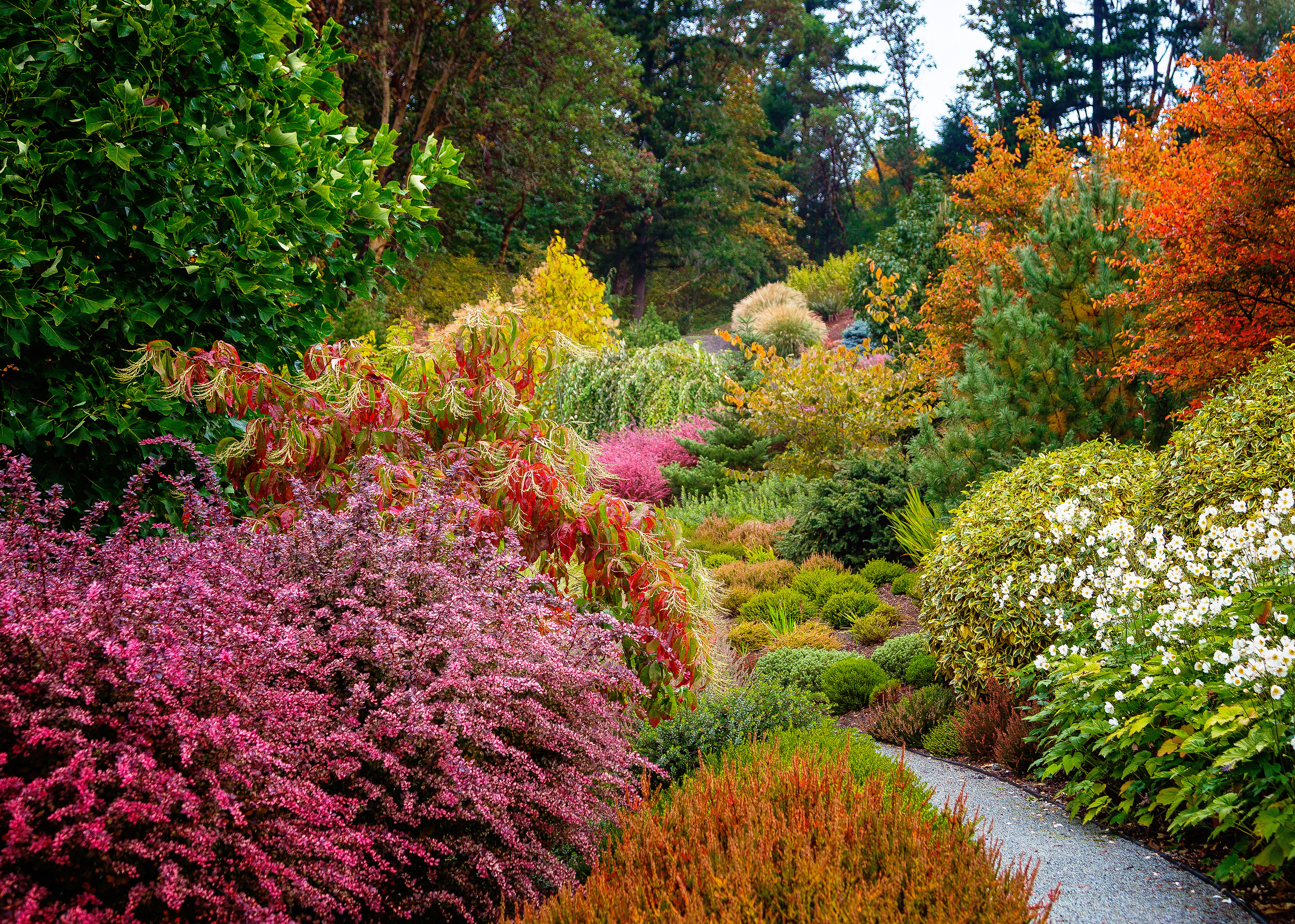6 Lessons for a Stunning Fall Garden
