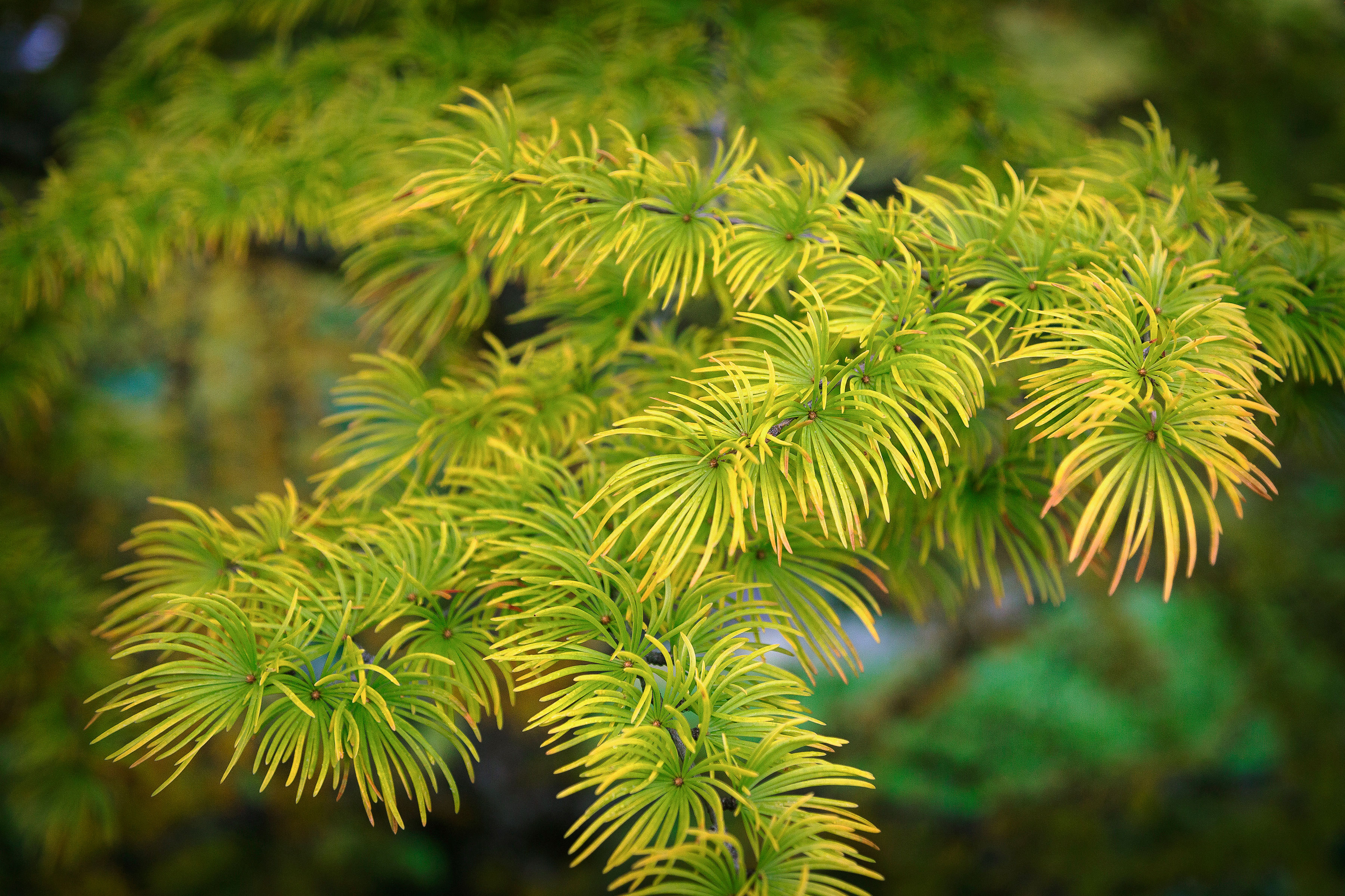 choose-a-seasonal-palette