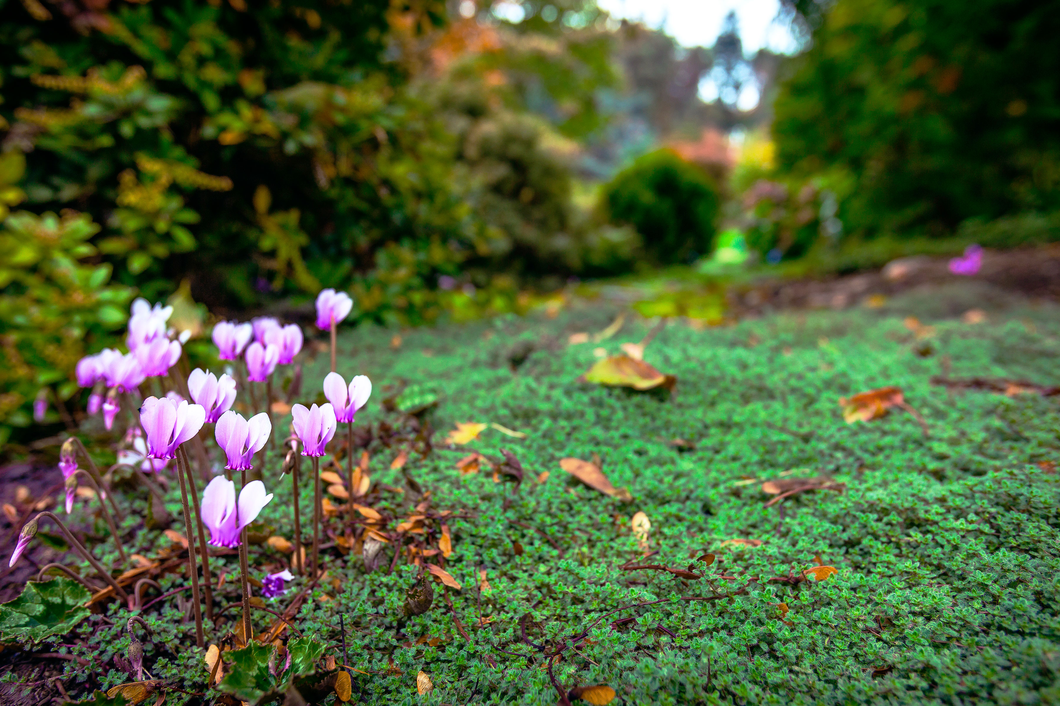 brighten-shaded-spots