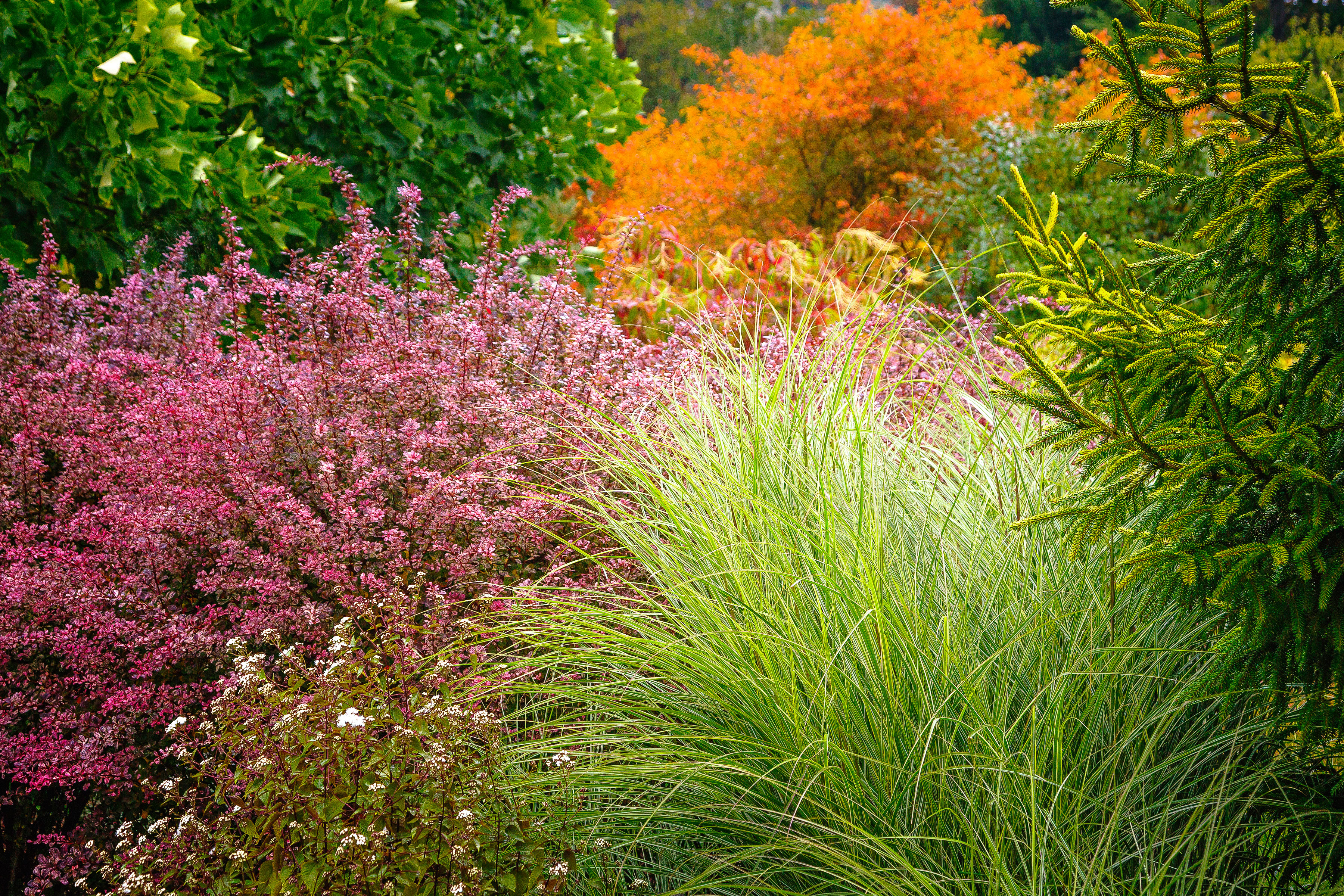 6 Lessons for a Stunning Fall Garden - Sunset Magazine