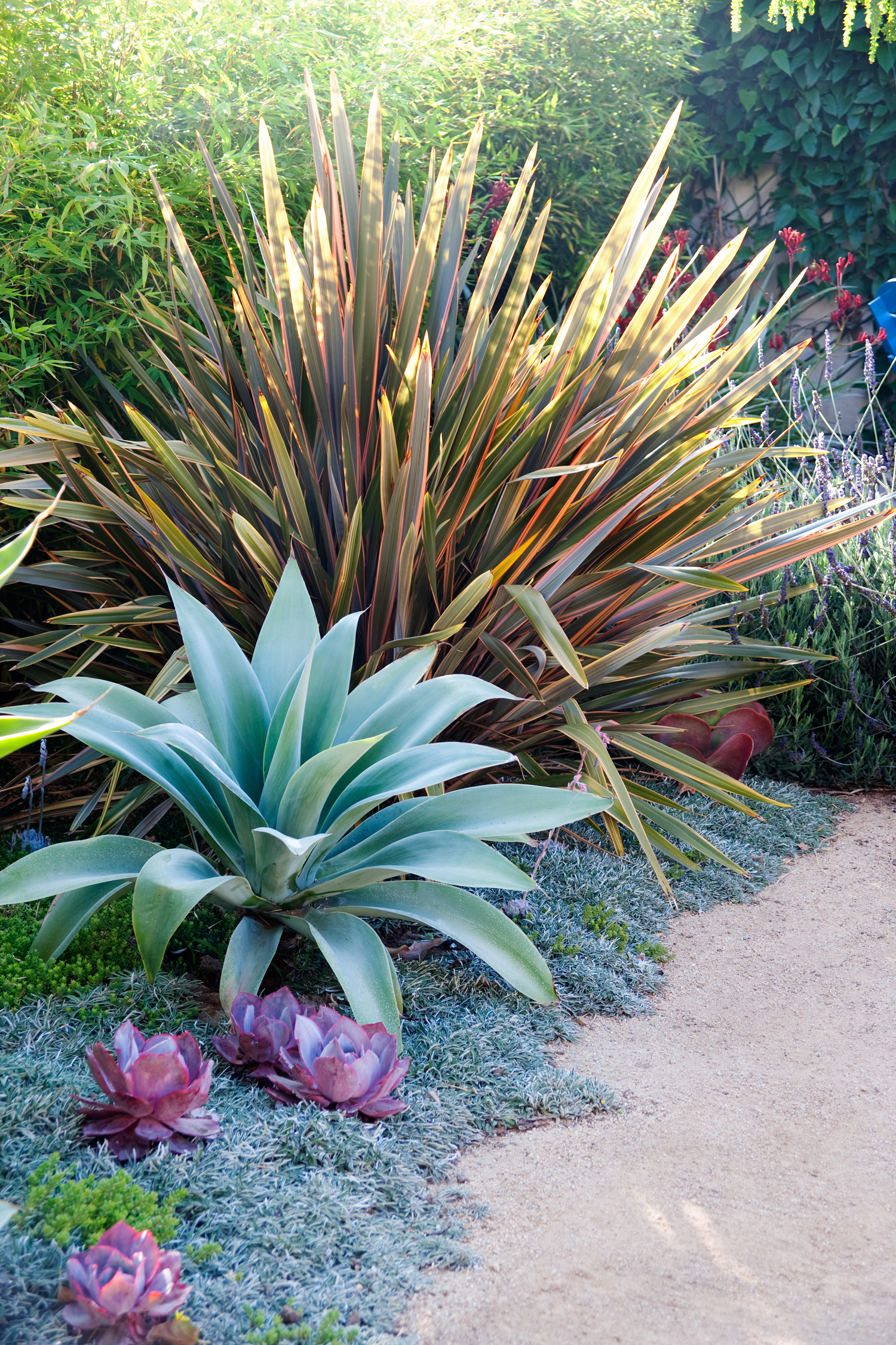 cool-spot-in-the-sun