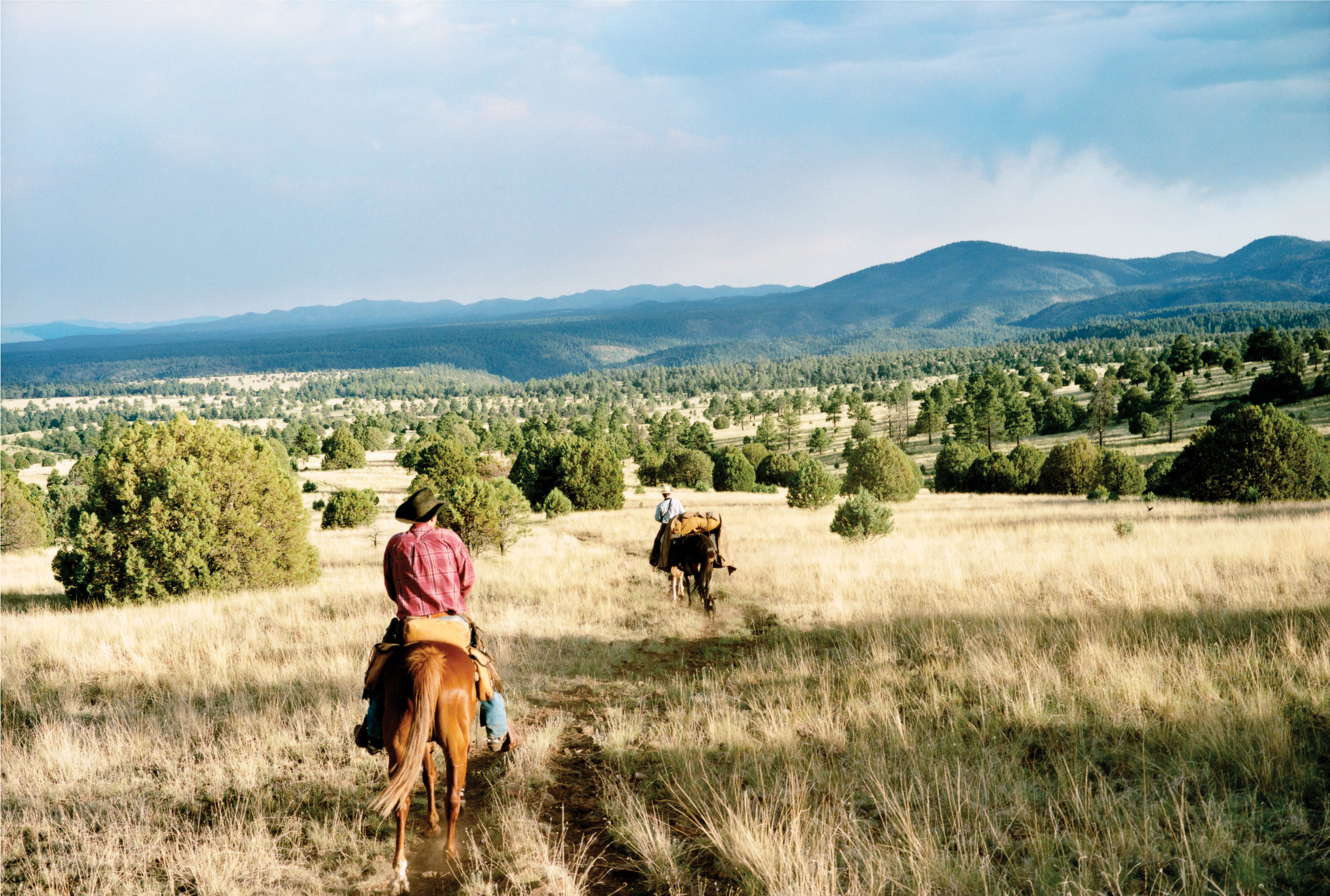 new-mexicos-gila-wilderness-tamed