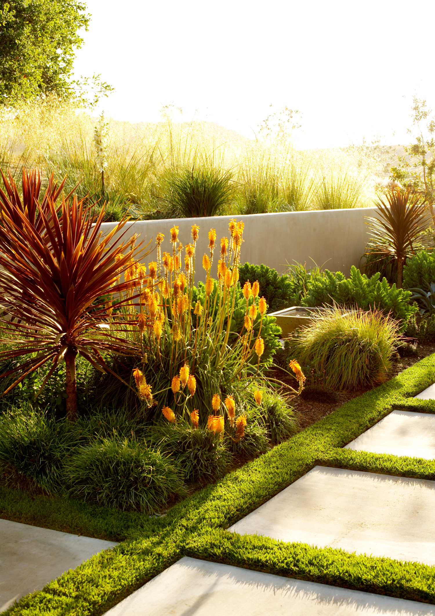 brighten-beds-with-fiery-flowers