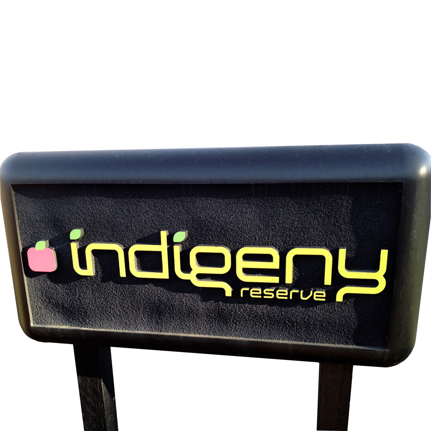 this-cider-house-rules