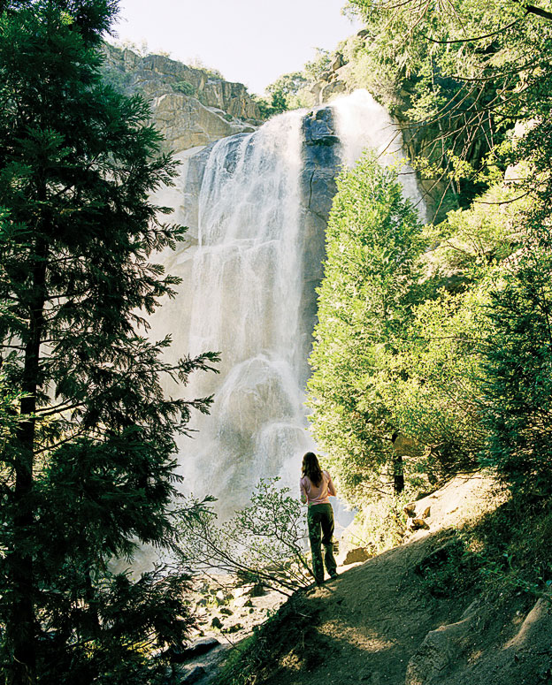 sequoia-grizzly-falls