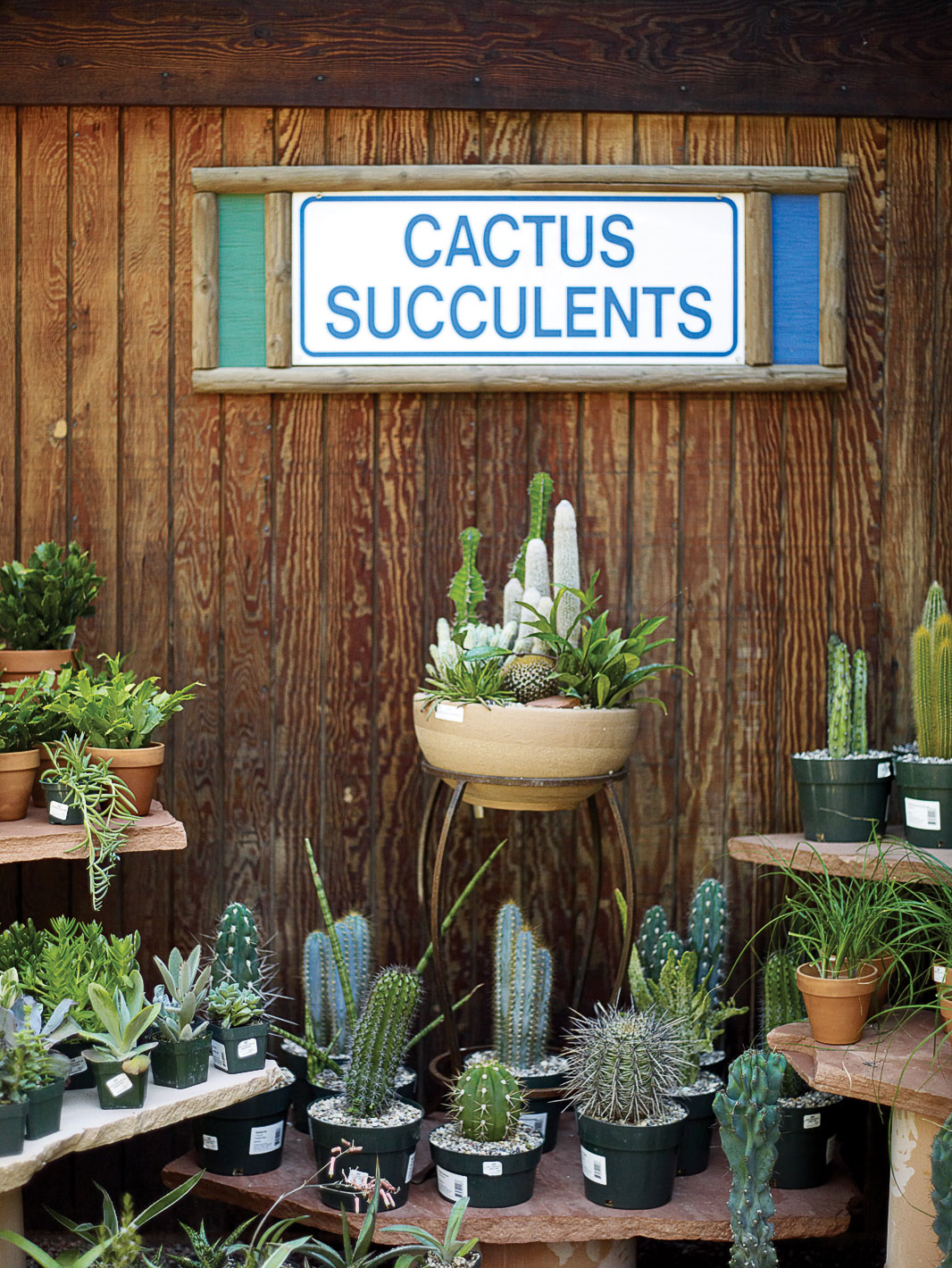 1-one-stop-herb-shopping