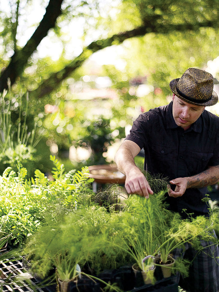 3-stock-your-kitchen-garden