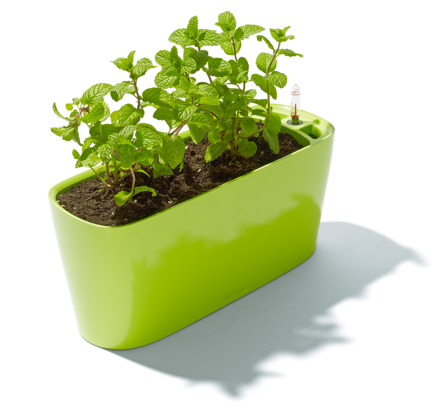 herb-planter