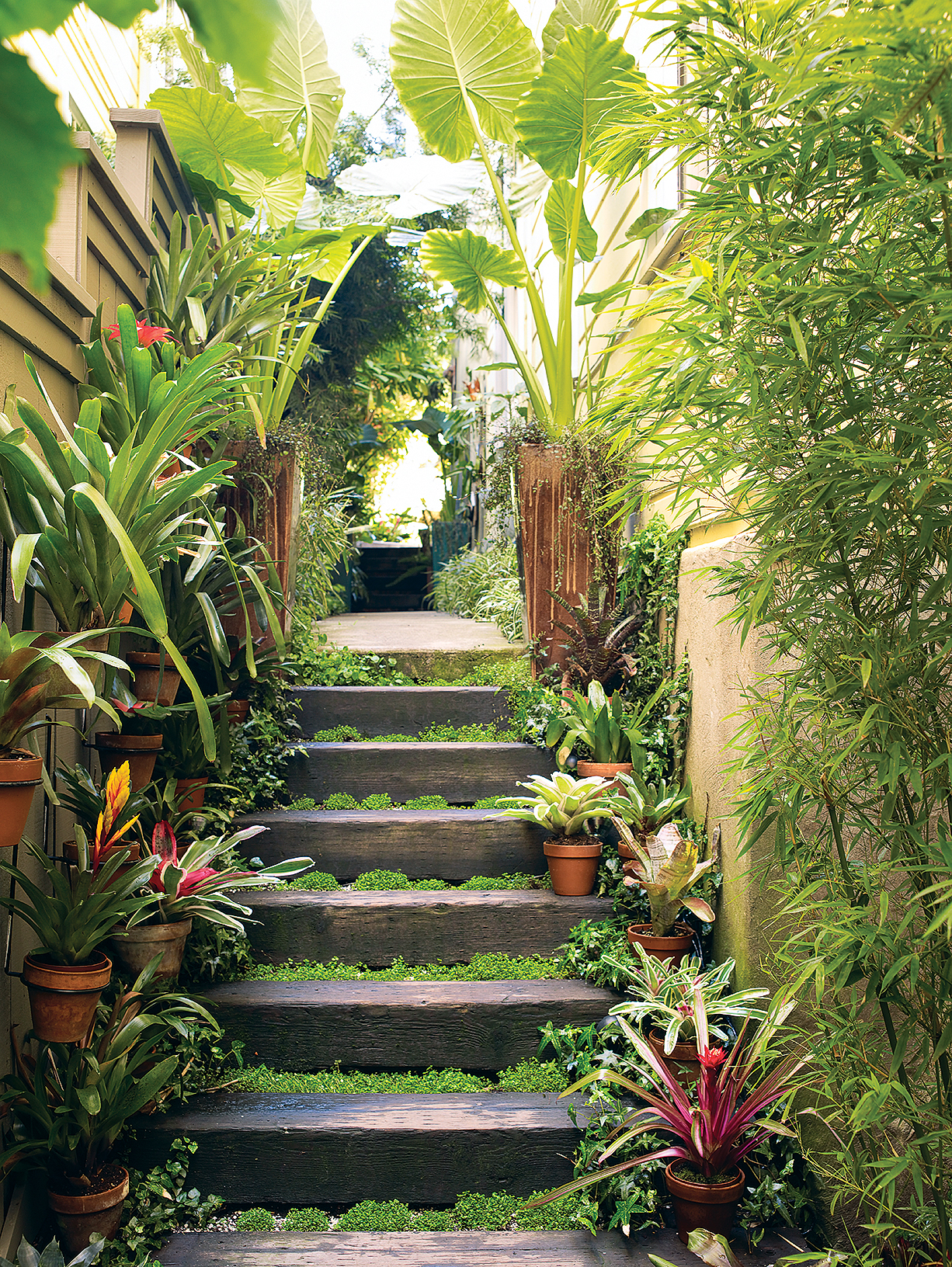 Ideas for Exotic Outdoor Decorations - Sunset Magazine