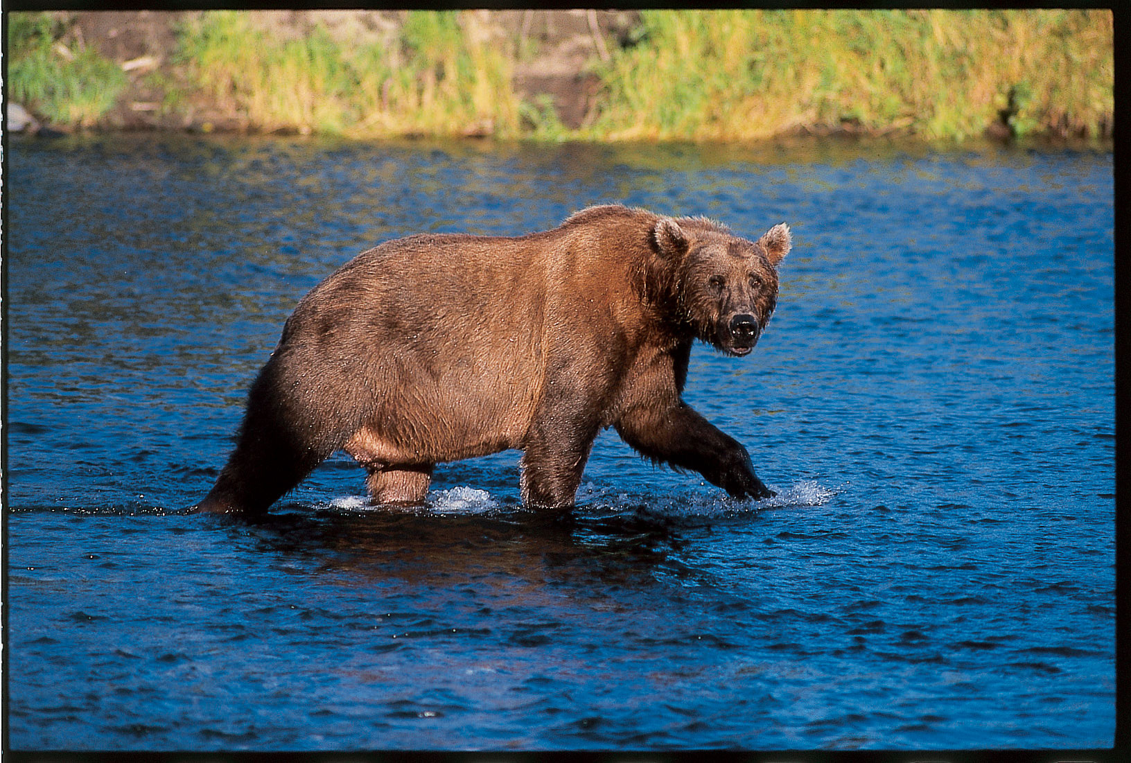 House Passes America’s Conservation Enhancement Act in Victory for Public Lands