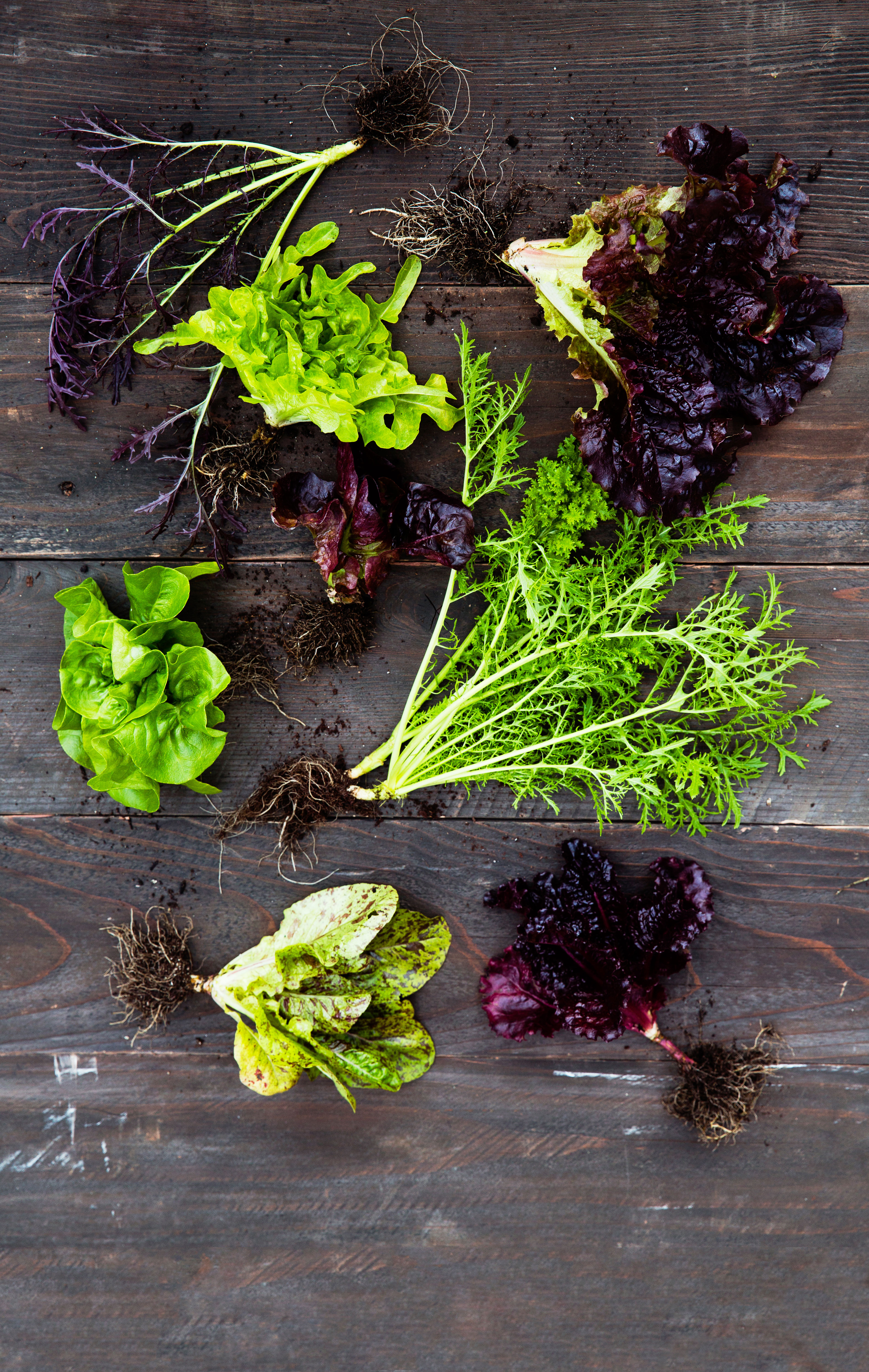 ingredients-for-the-perfect-salad