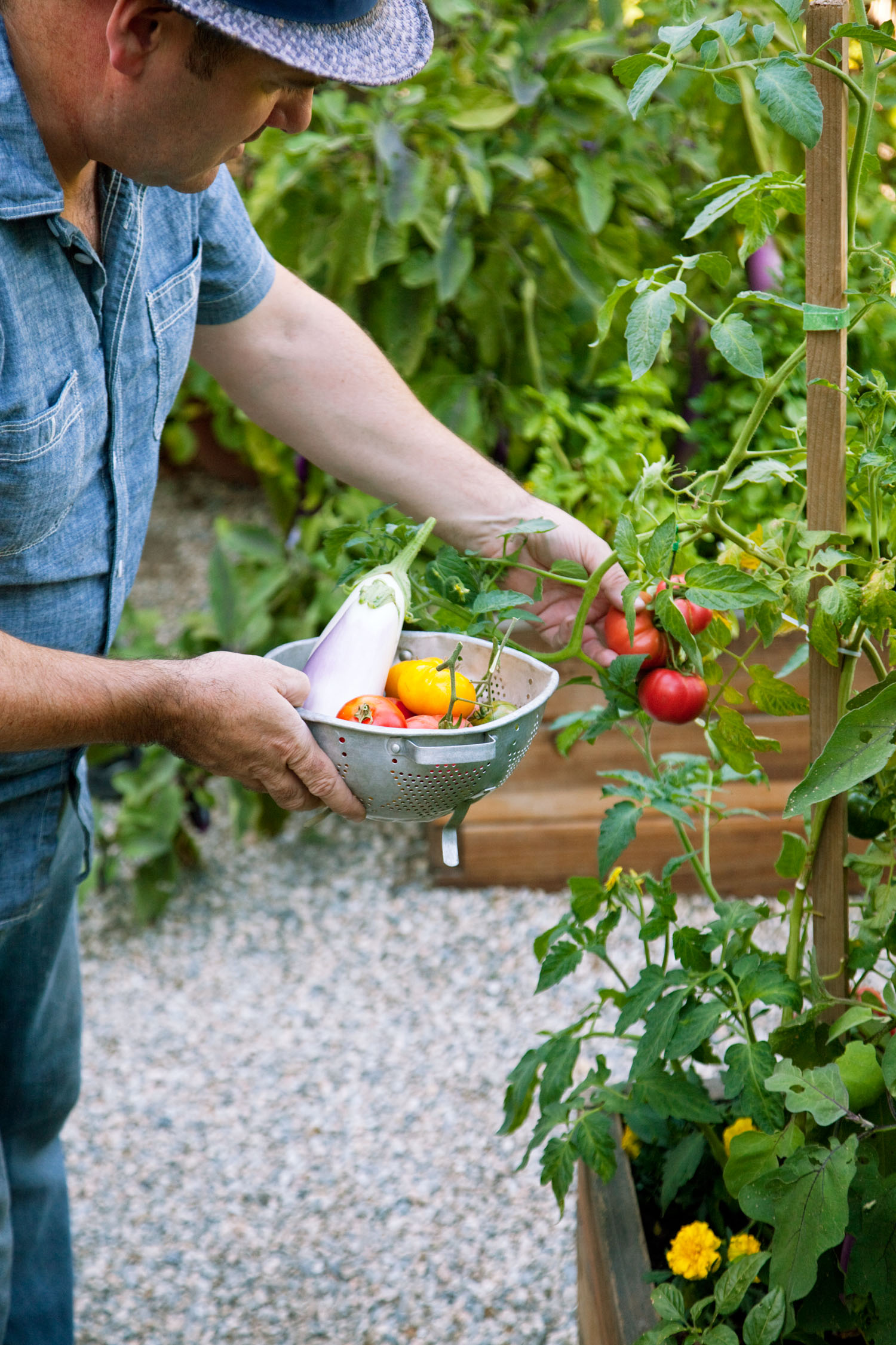 plant-close-to-the-kitchen
