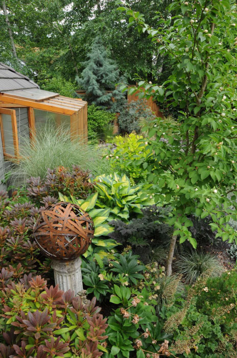 plant-close-together