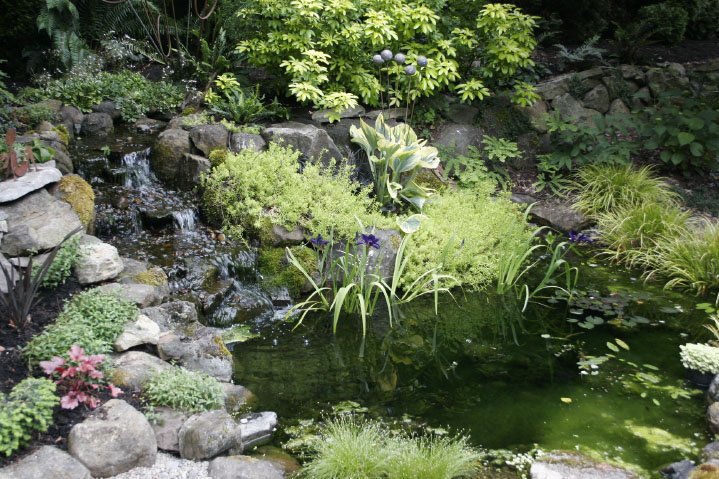 How to Create a Nature-Lover’s Yard