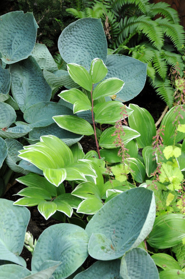 bone-up-on-your-local-ecosystem