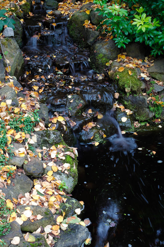skip-traditional-birdbaths