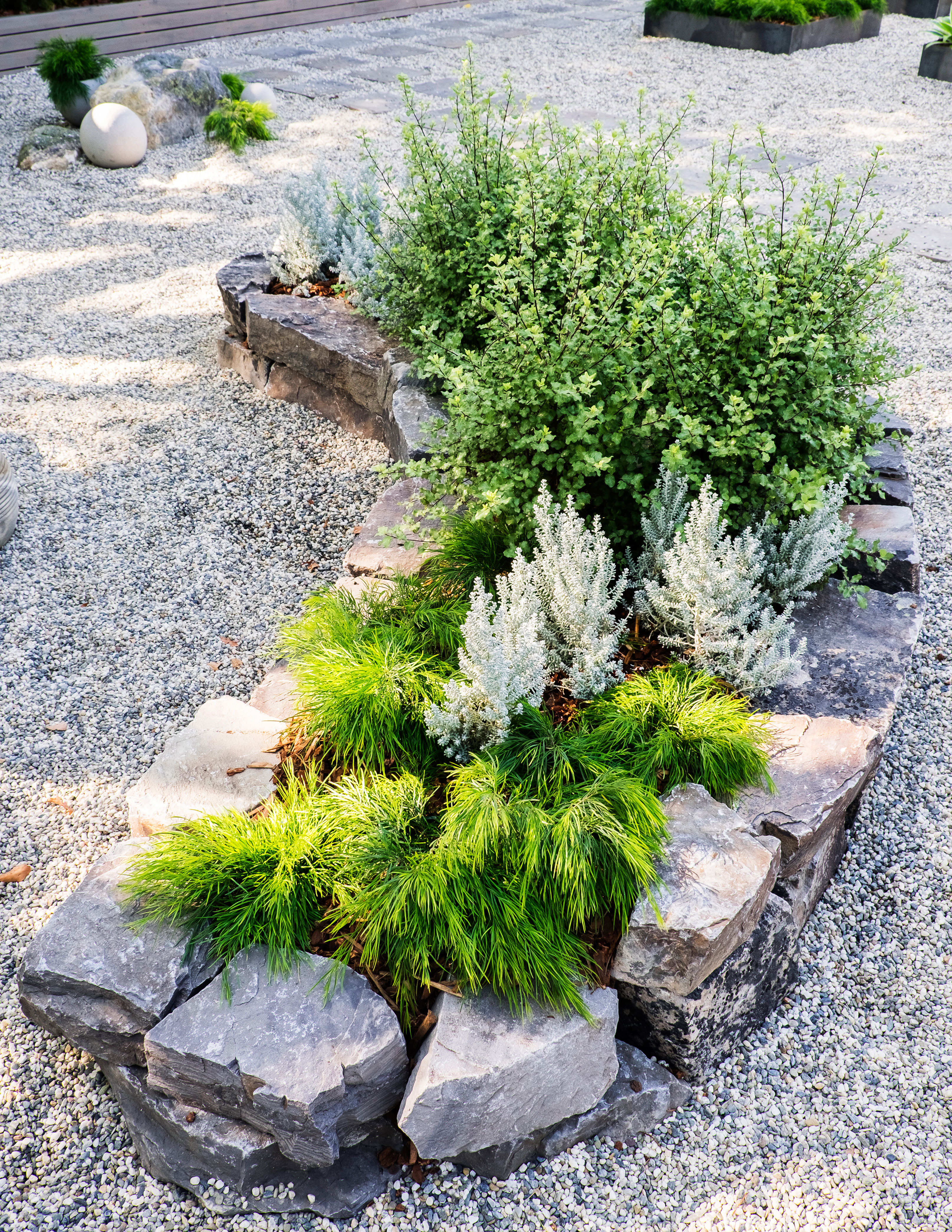 How to Design a LowWater Zen Garden Sunset Magazine