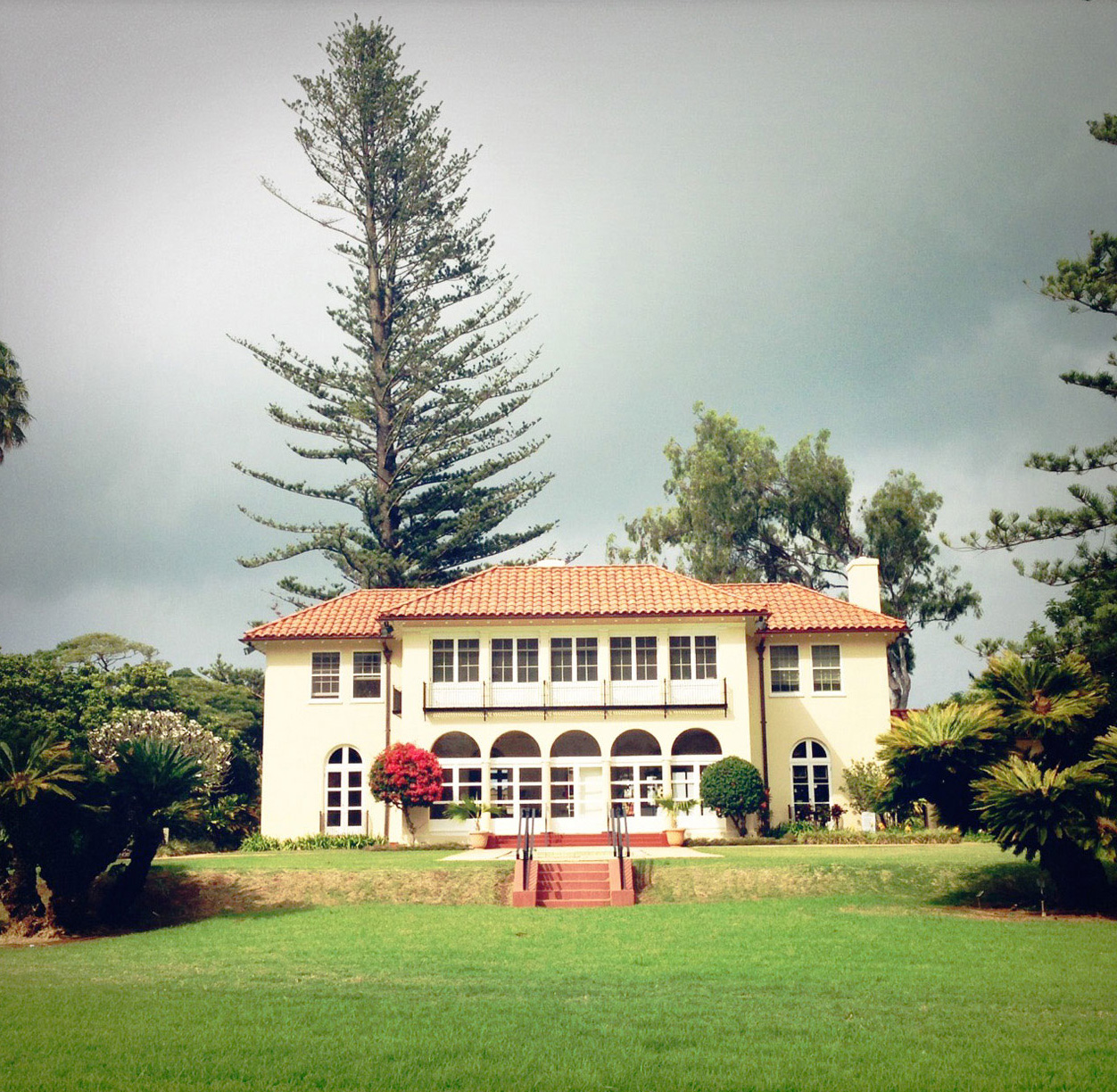 drink-in-the-culture