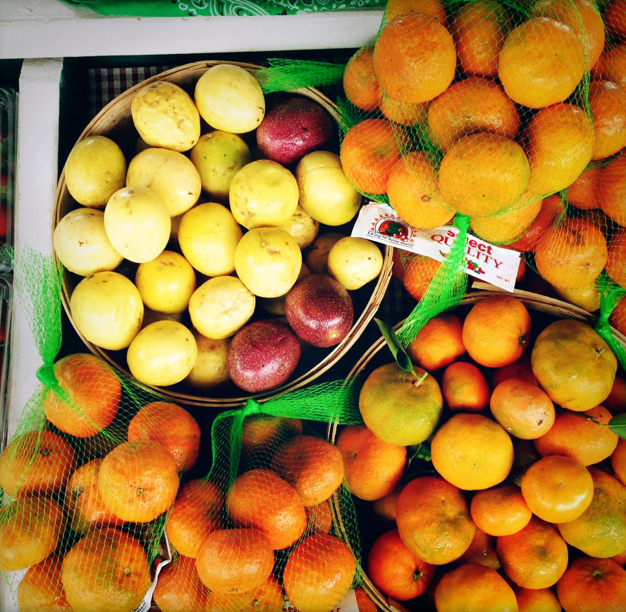 fresh-from-the-field