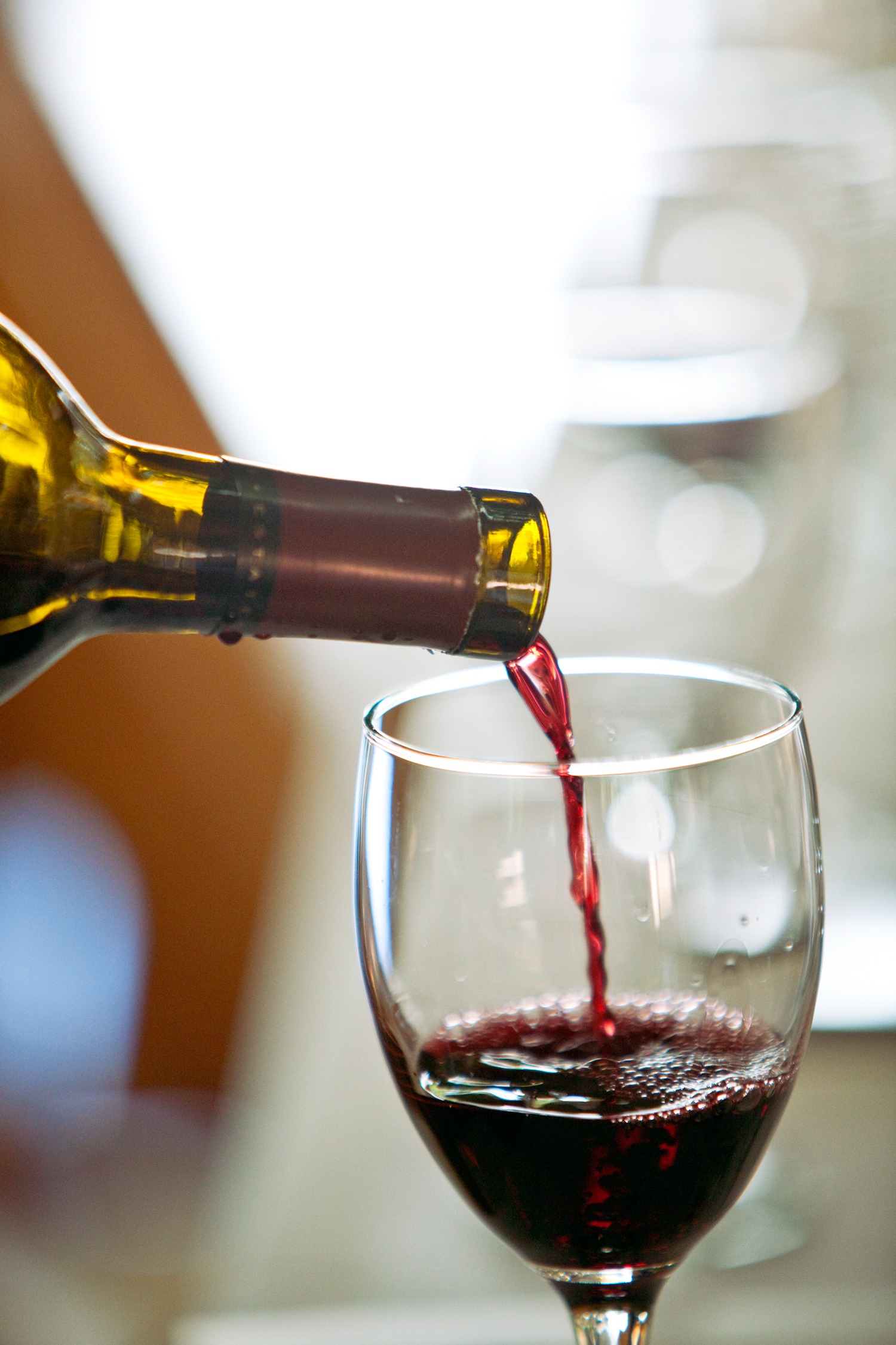 Merlot: Soft Tannins, Dark Fruit