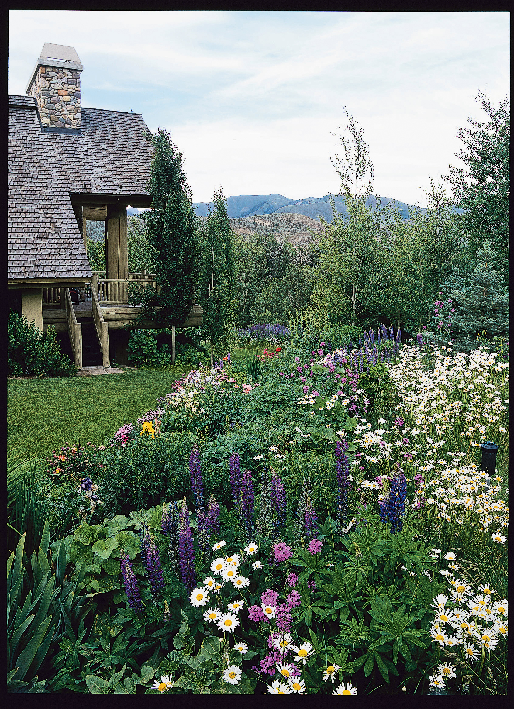 using-the-right-balance