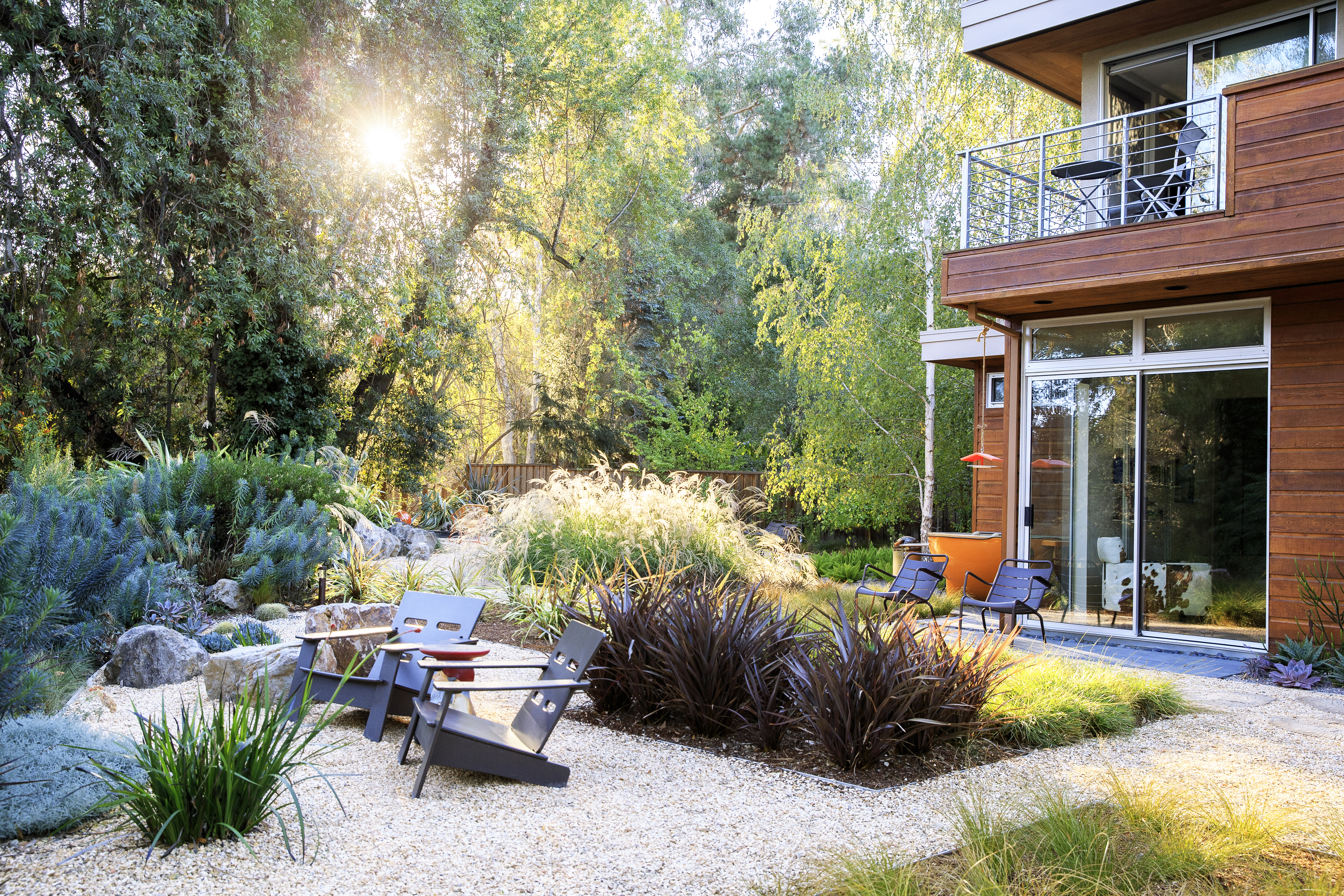 a-study-in-contrasts