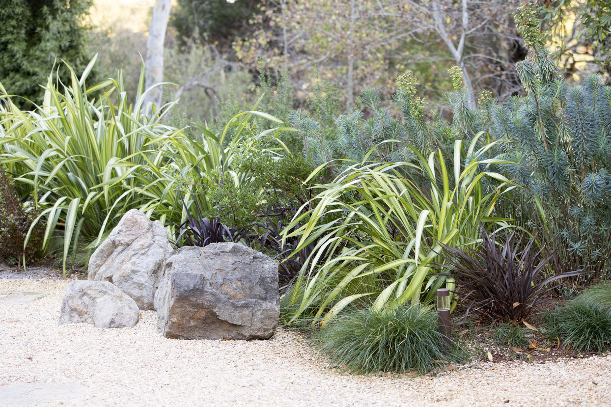 low-water-high-impact