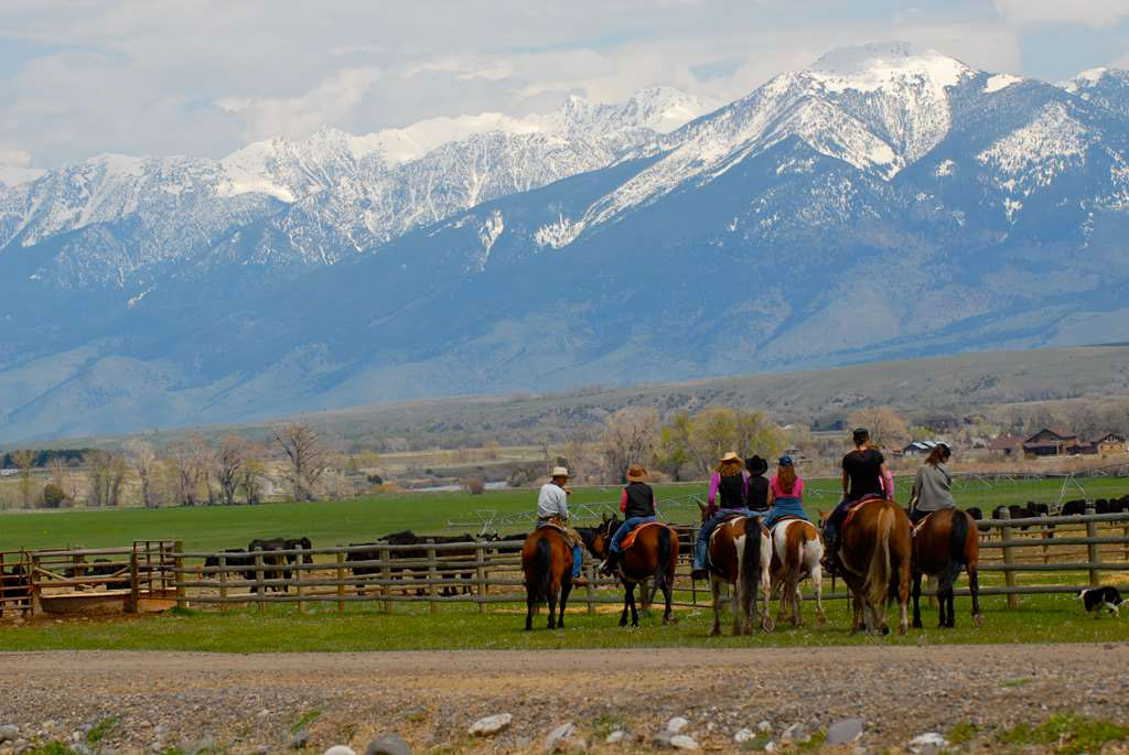 mountain-sky-guest-ranch