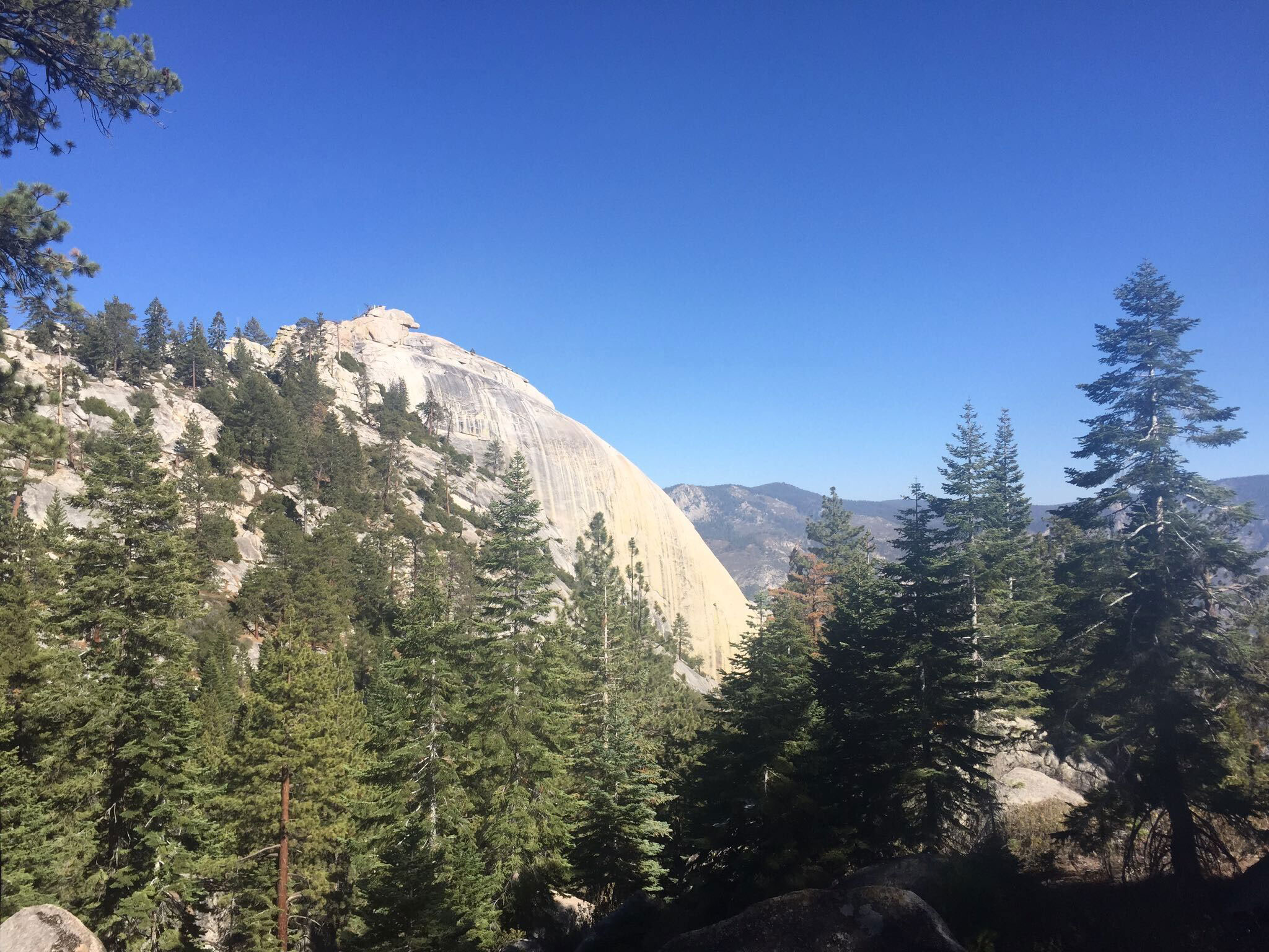 sequoia-needles-lookout