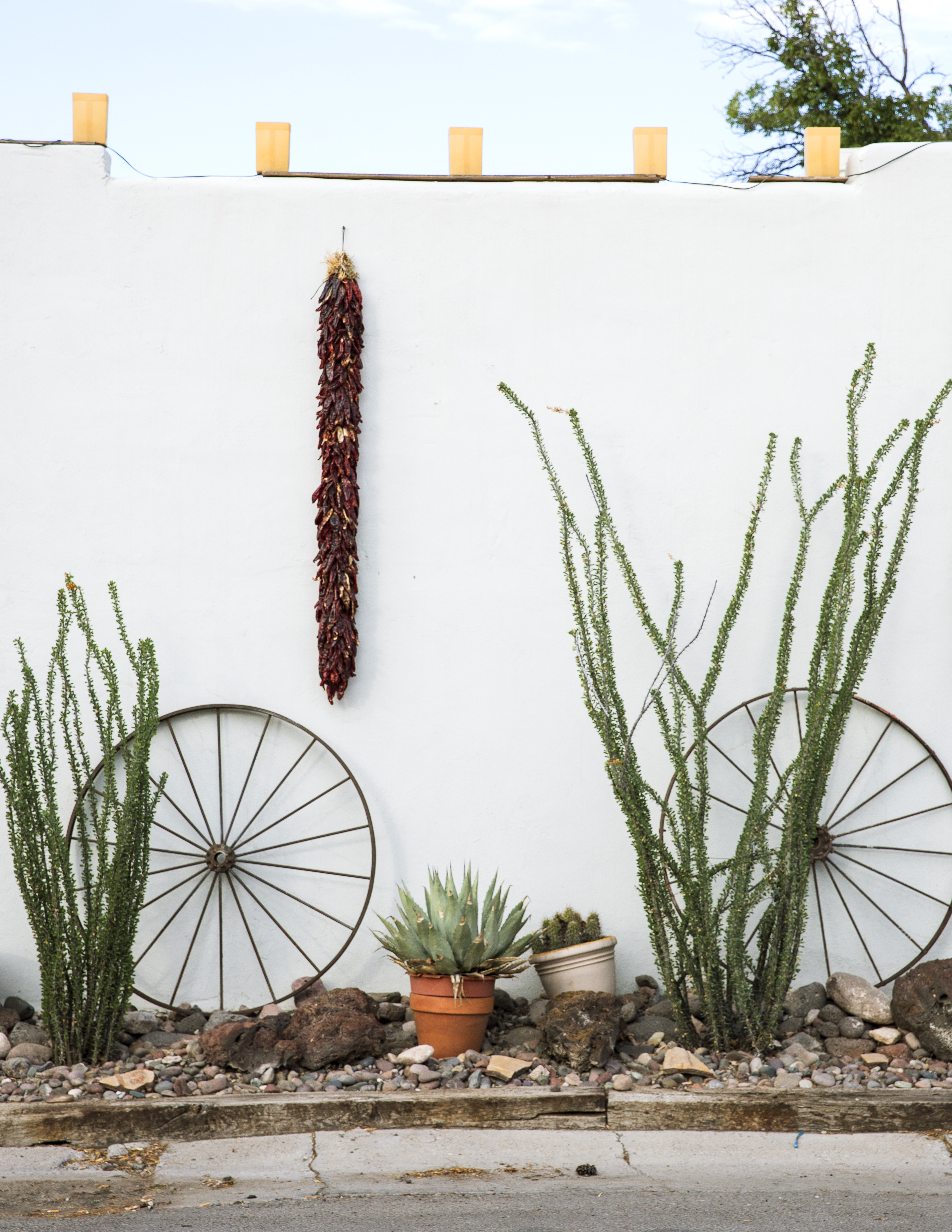 Go on a Chile Tour of New Mexico