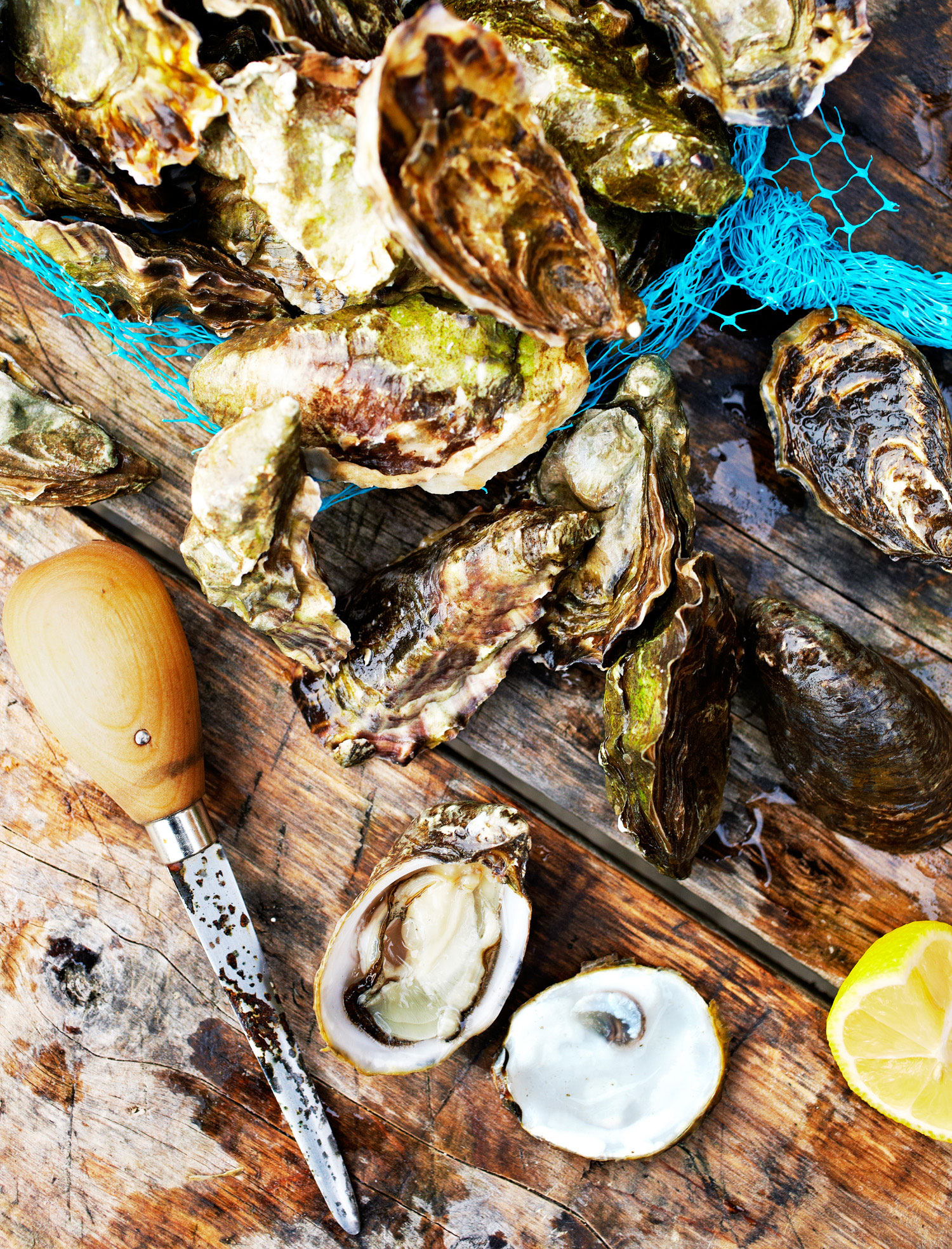 road-trip-to-oyster-country