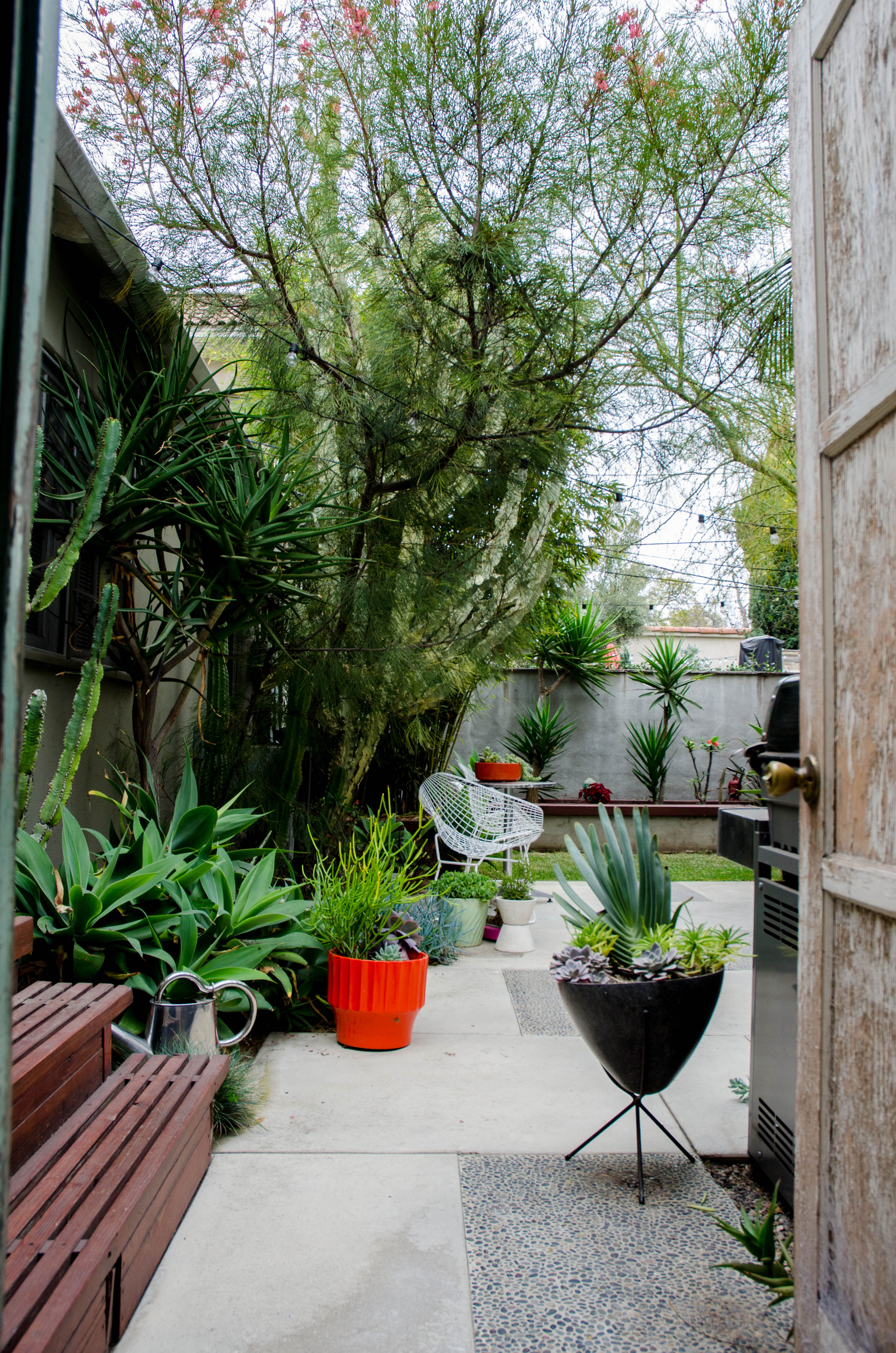 from-sandbox-to-oasis