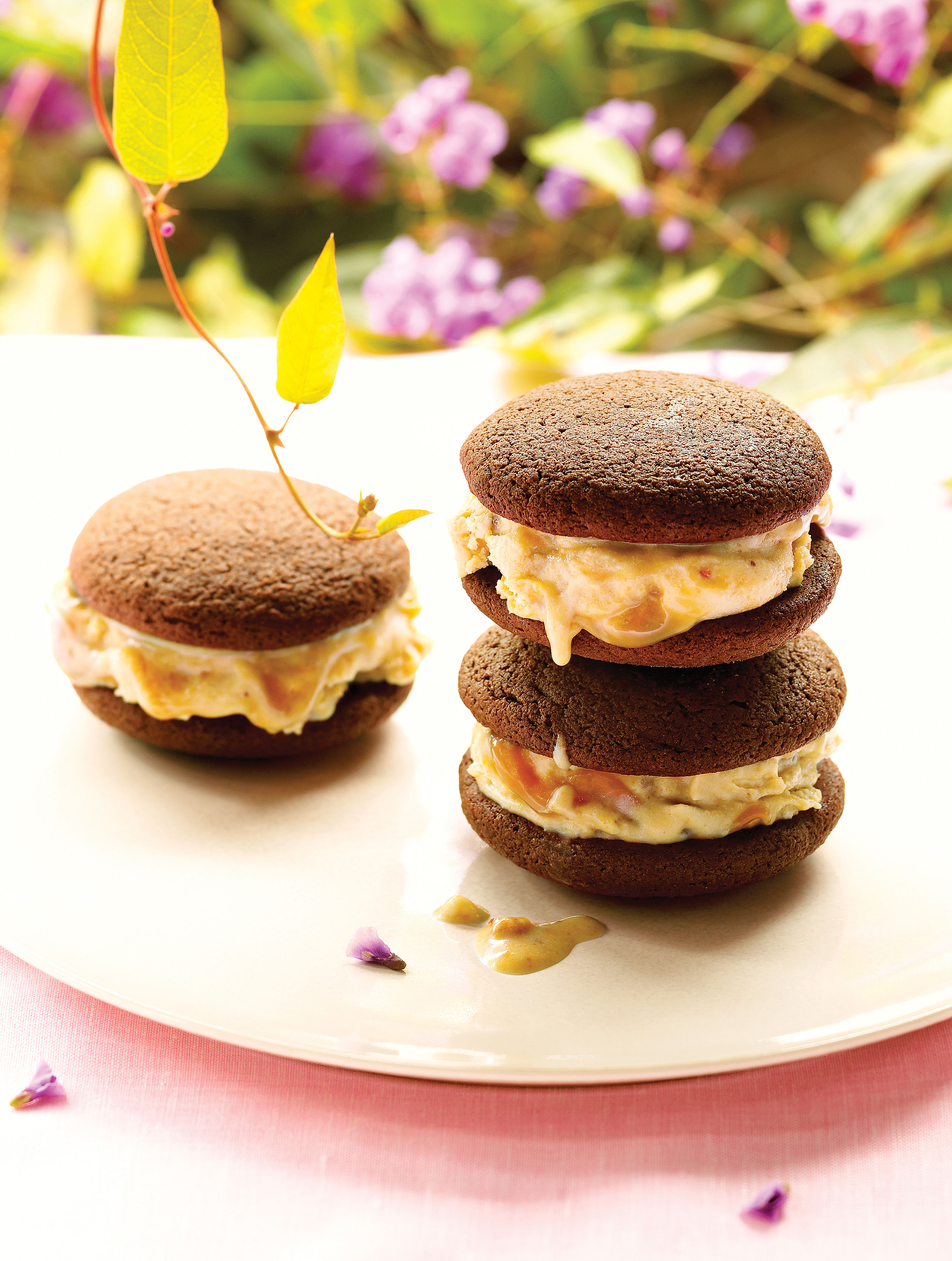 Cookies: Peanut-Butter Chocolate Ice Cream Sandwiches
