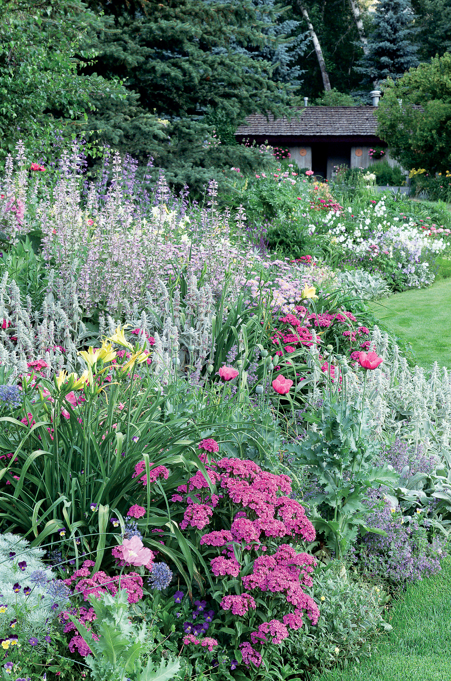 pink-garden-border