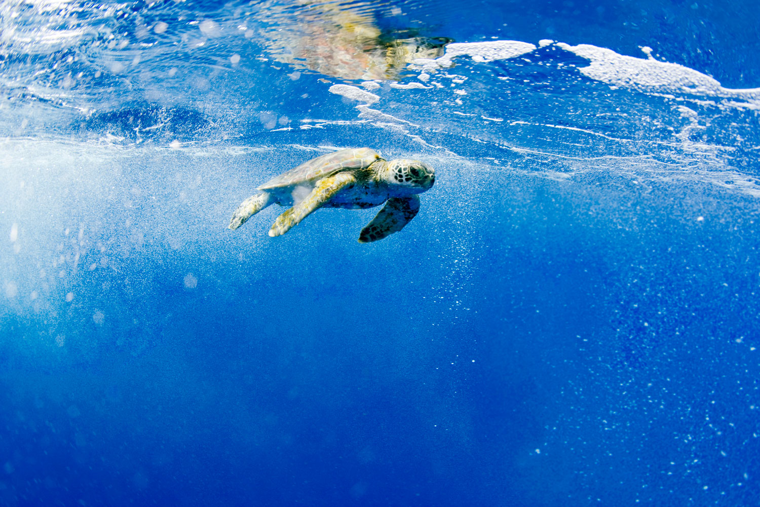 north-mokulua-island-hi